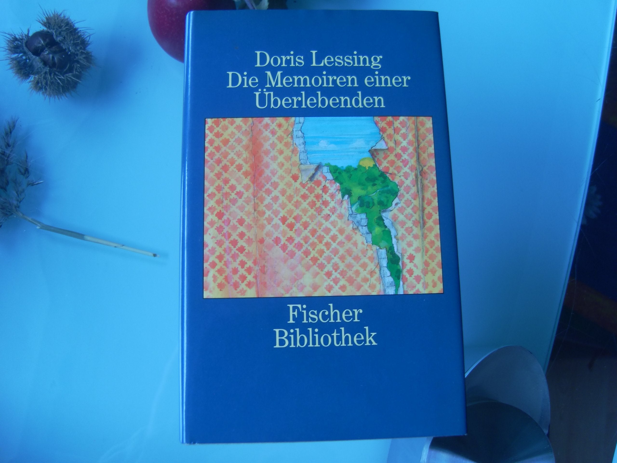 Die Memoiren einer Überlebenden Contemporary literature Books