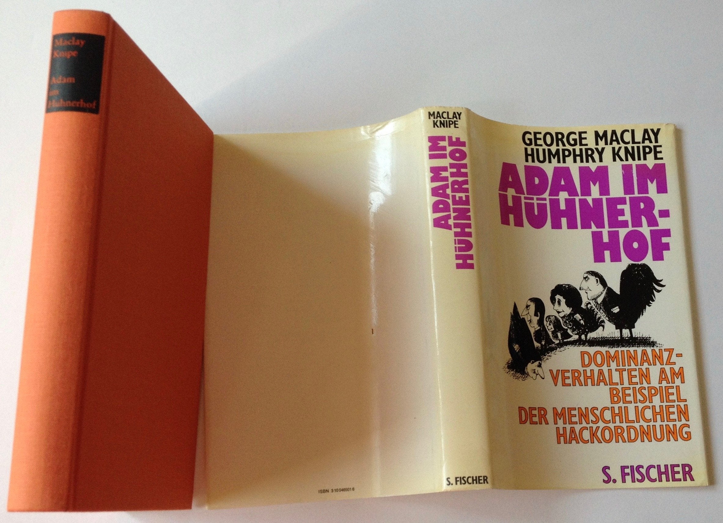 Adam im Hühnerhof. Dominanzverhalten am Beispiel der menschlichen Hackordnung Psychology
