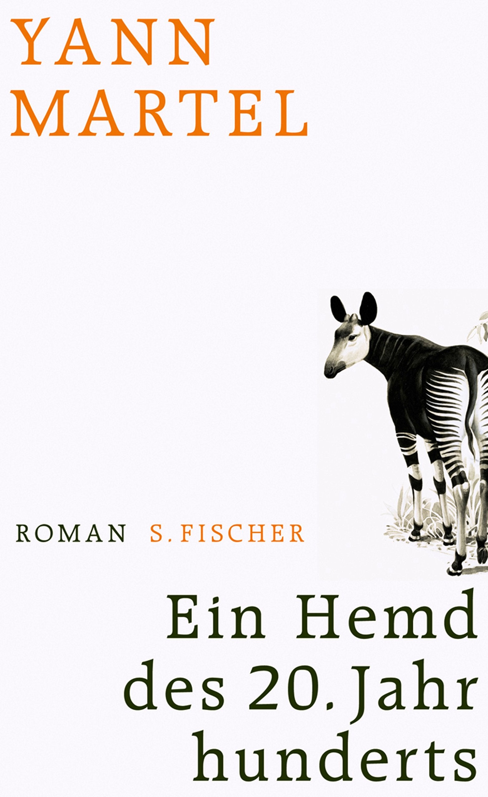 Product Image: Ein Hemd des 20. Jahrhunderts: Roman