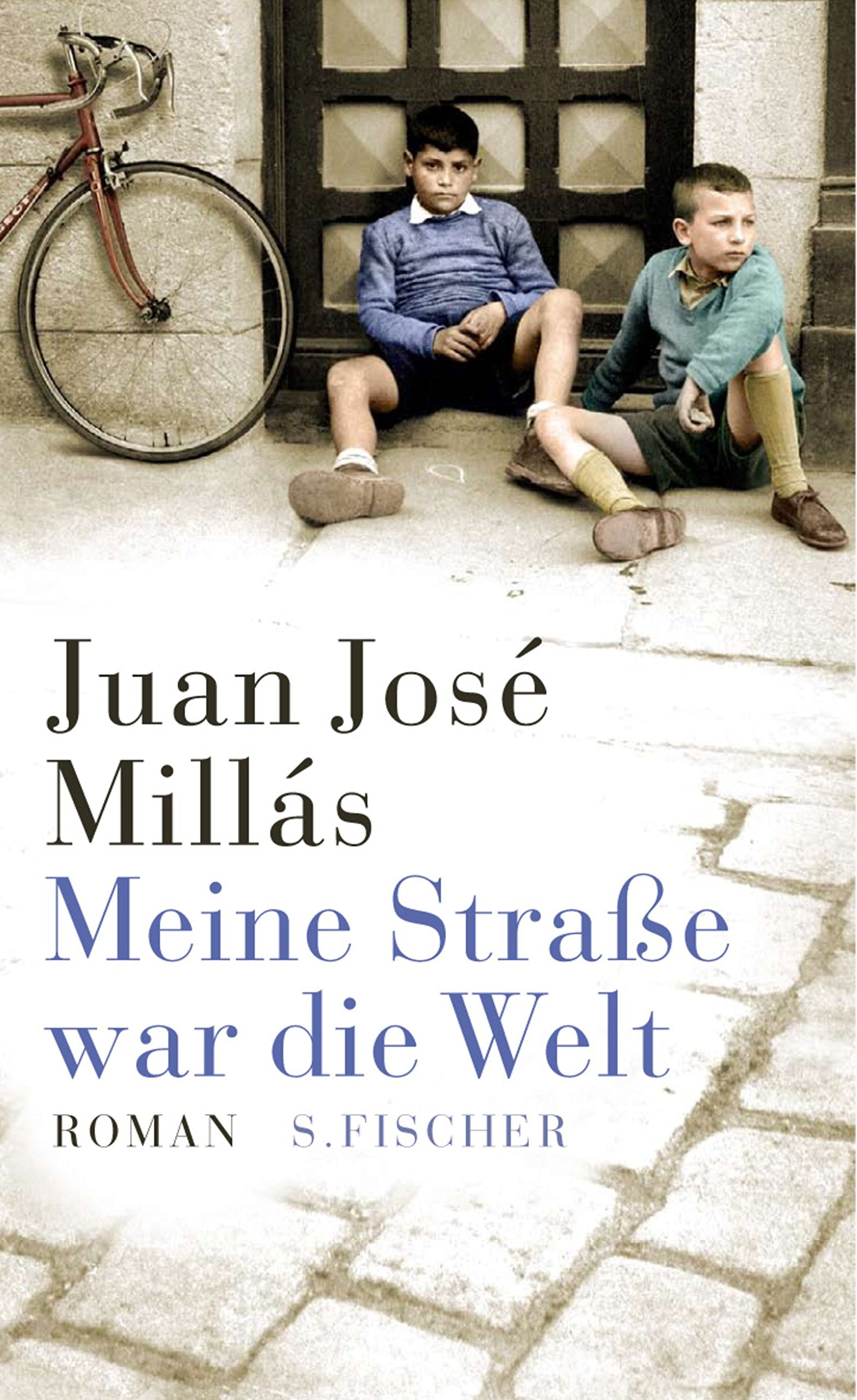 Meine Straße war die Welt: Roman. Ausgezeichnet mit dem Premio Planeta 2007 (Literatur (international)) Contemporary literature Books