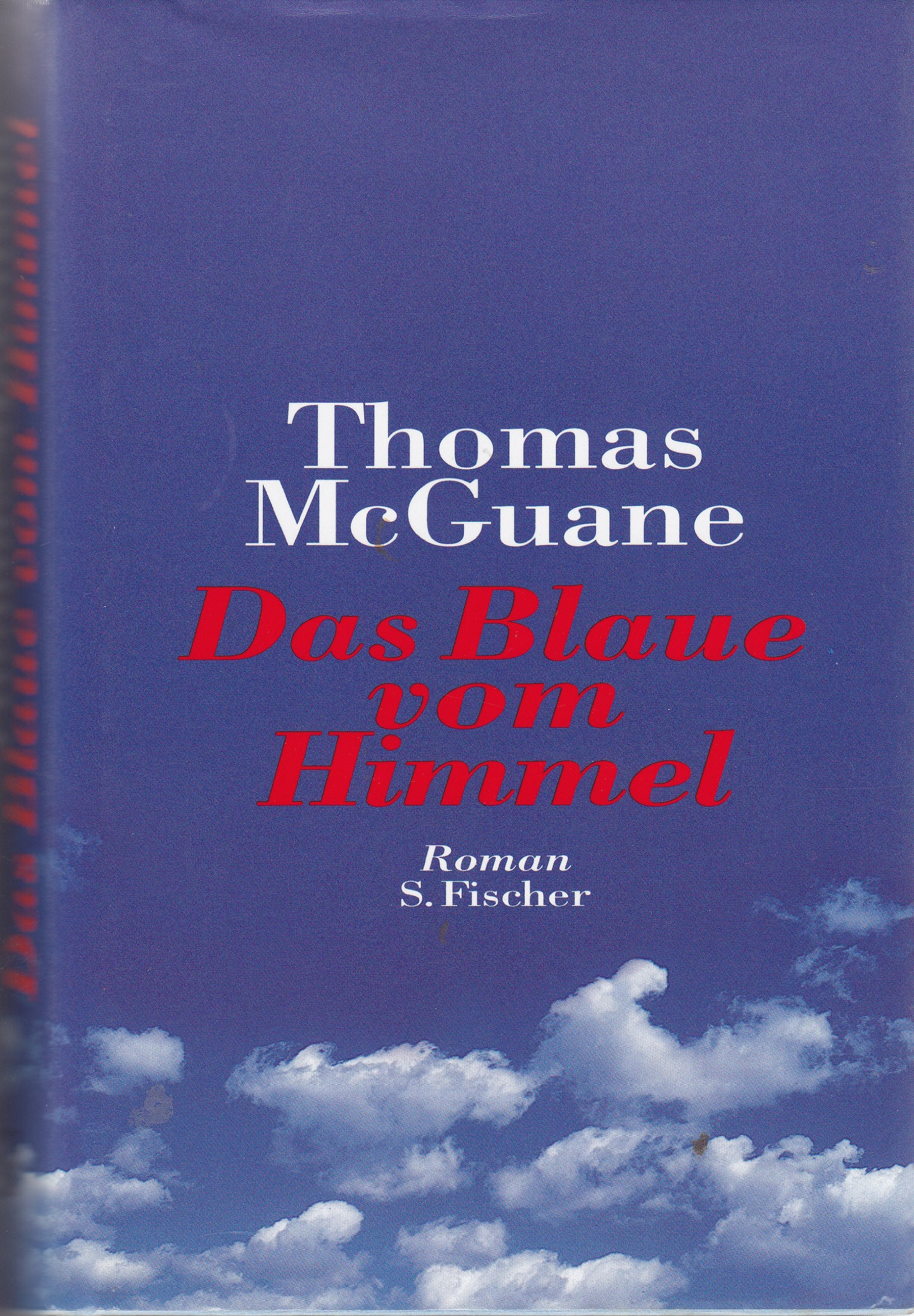 Das Blaue vom Himmel: Roman Books