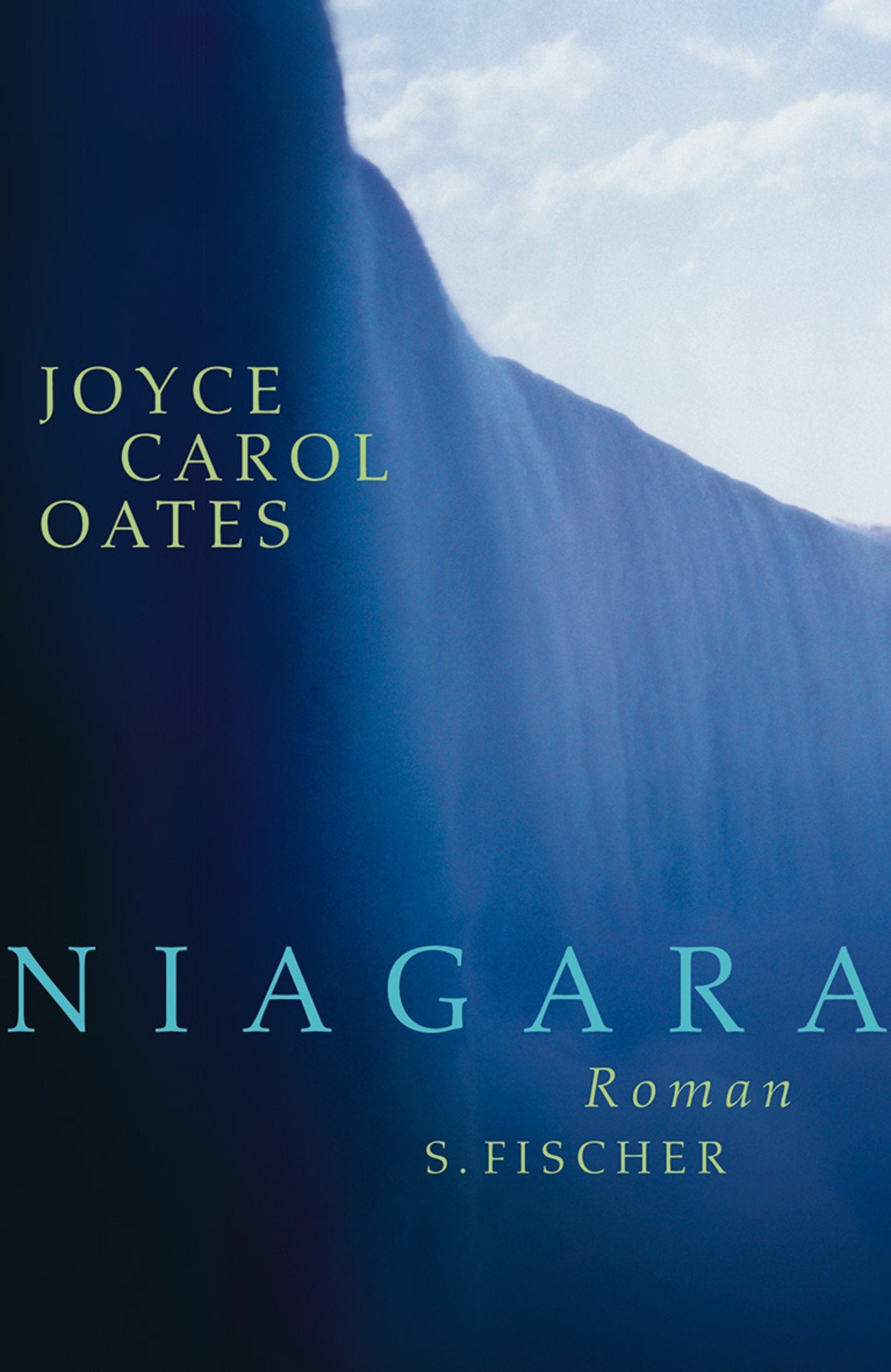 Niagara: Roman Contemporary literature Books