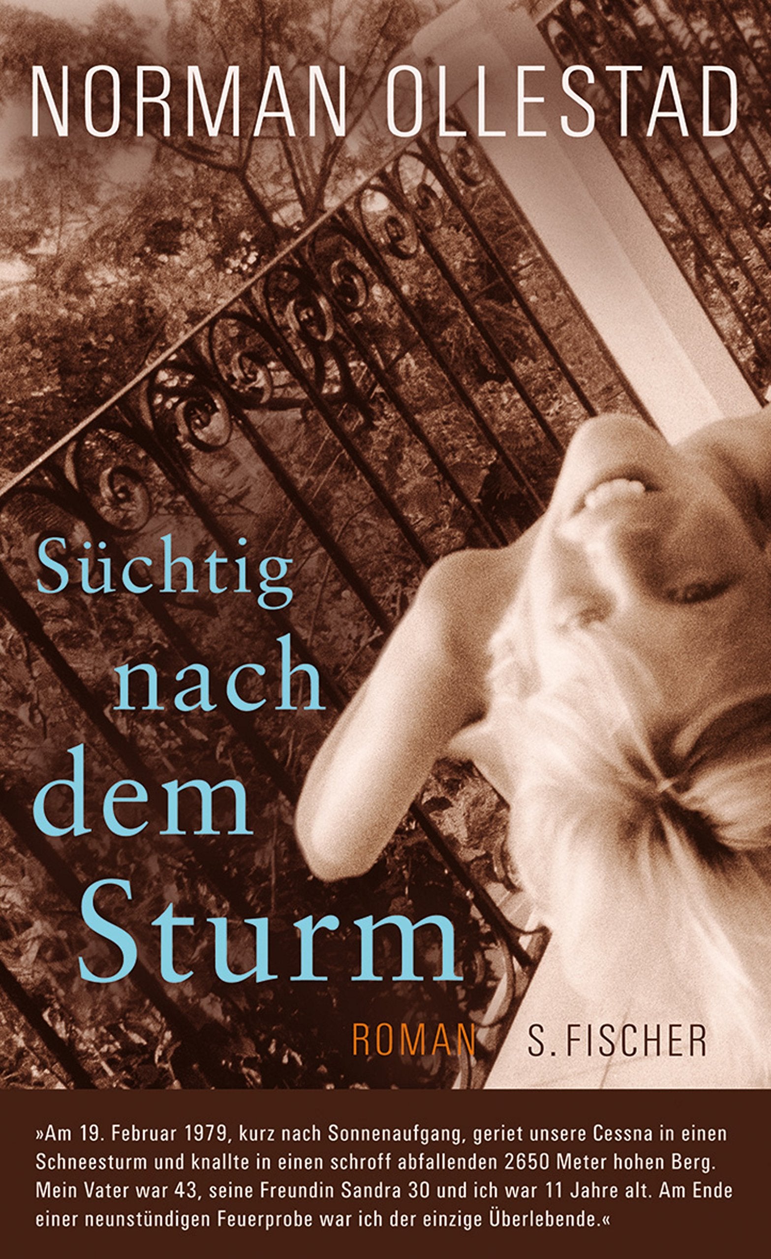 Süchtig nach dem Sturm: Roman (Literatur (international)) Contemporary literature