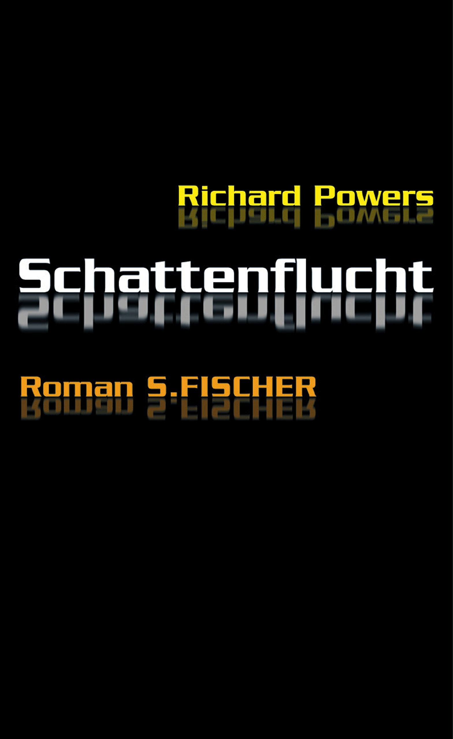 Schattenflucht: Roman: Roman. Aus d. Amerikan. v. Manfred Allie u. Gabriele Kempf-Allie. Contemporary literature Books