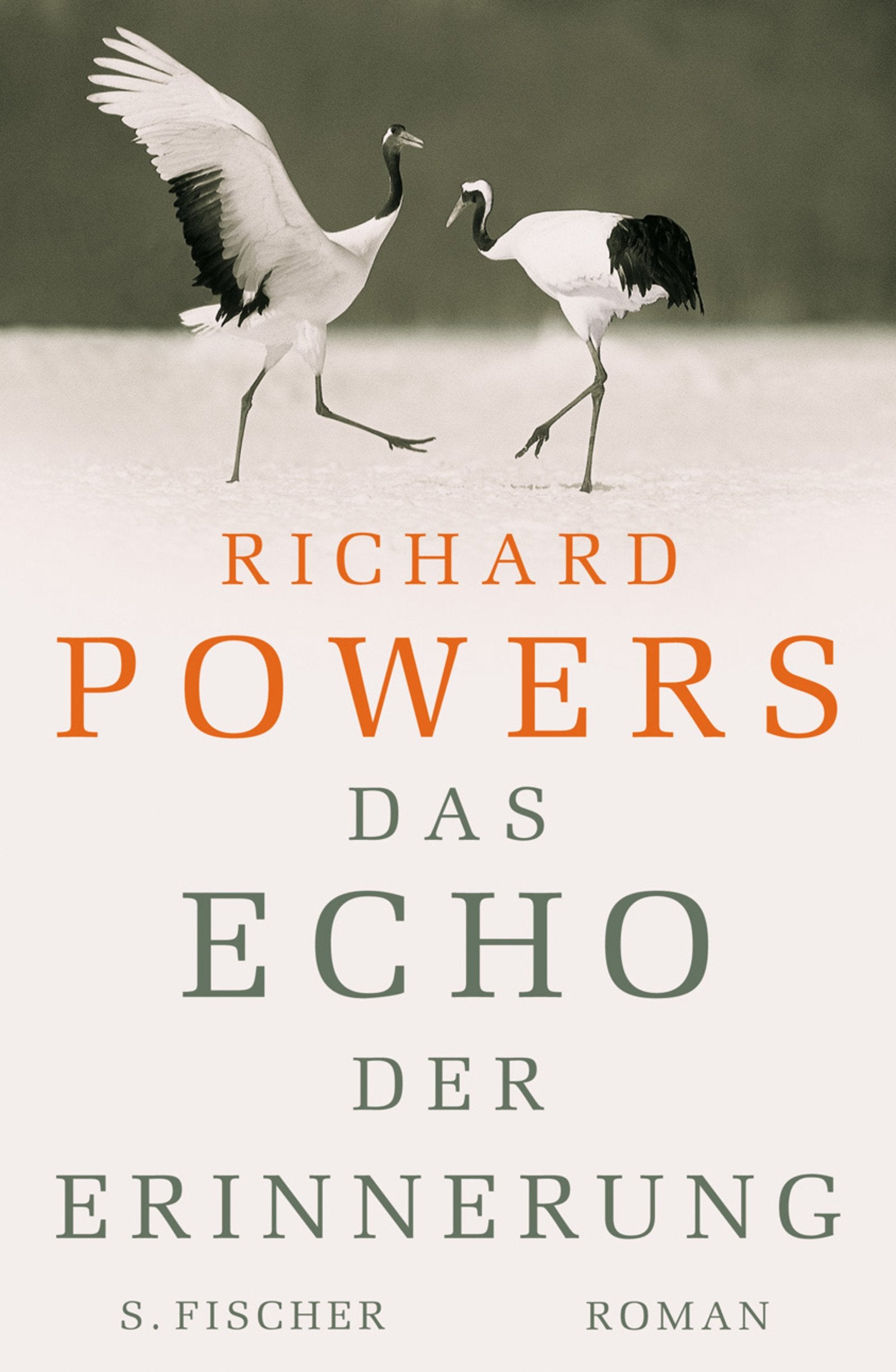 Das Echo der Erinnerung: Roman: Roman. Ausgezeichnet mit dem National Book Award 2006 Contemporary literature