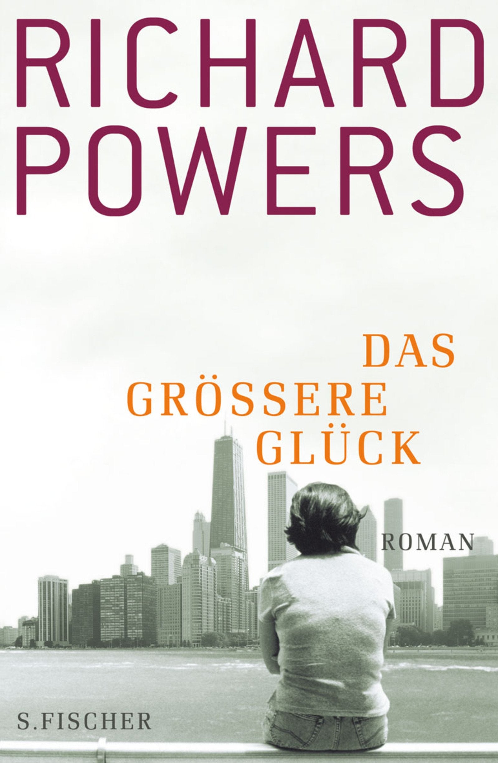 Das größere Glück: Roman Contemporary literature Books