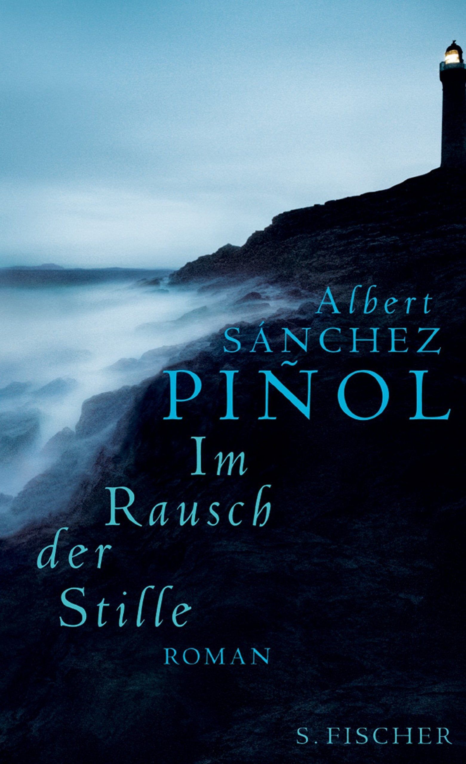 Im Rausch der Stille: Roman (Literatur (international)) Contemporary literature
