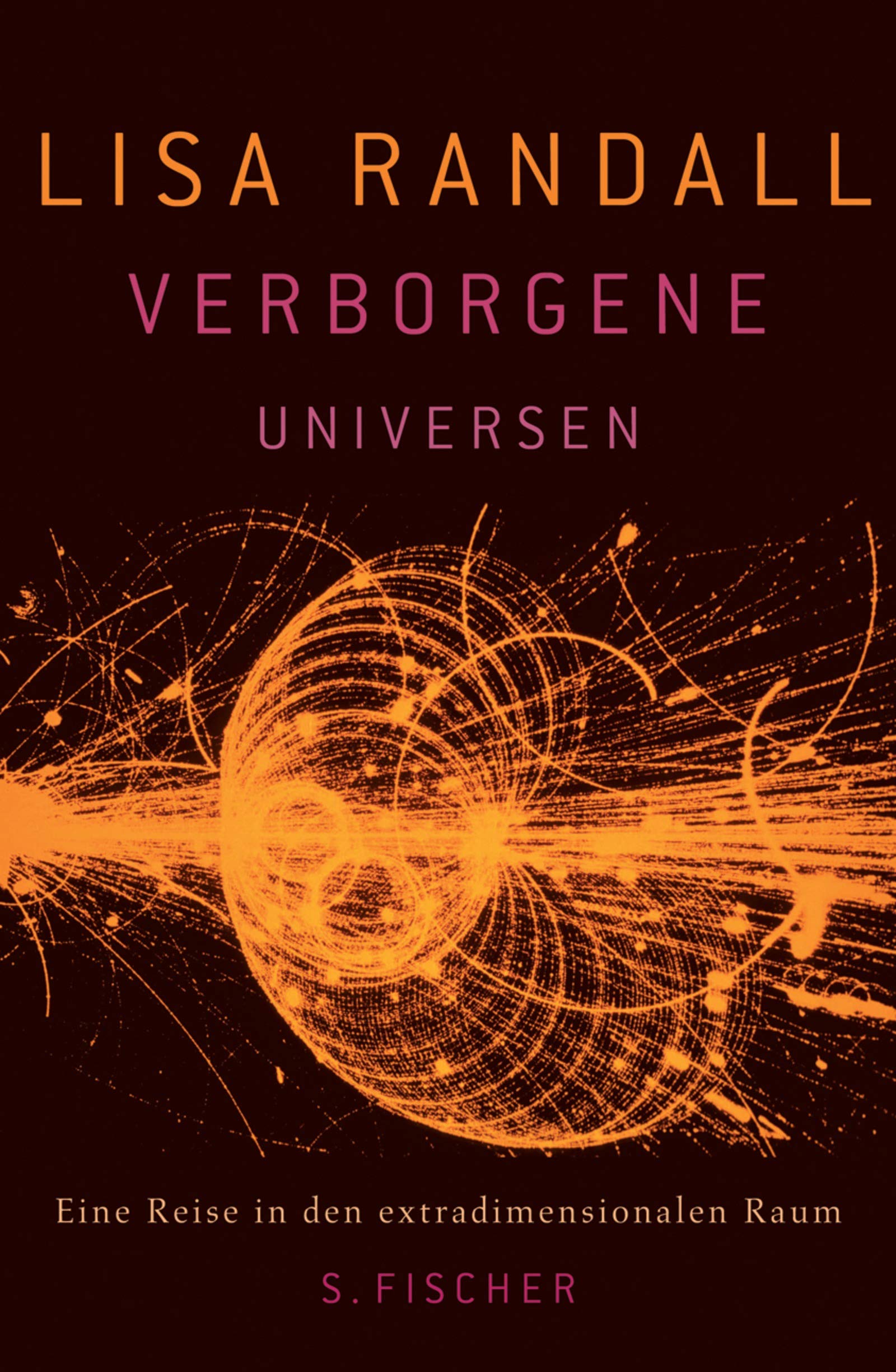 Verborgene Universen: Eine Reise in den extradimensionalen Raum Natural Sciences