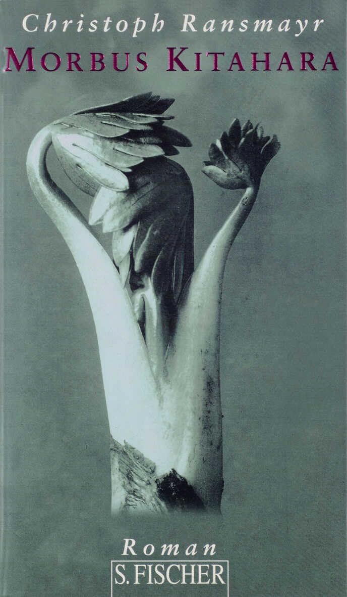 Morbus Kitahara Contemporary literature Books
