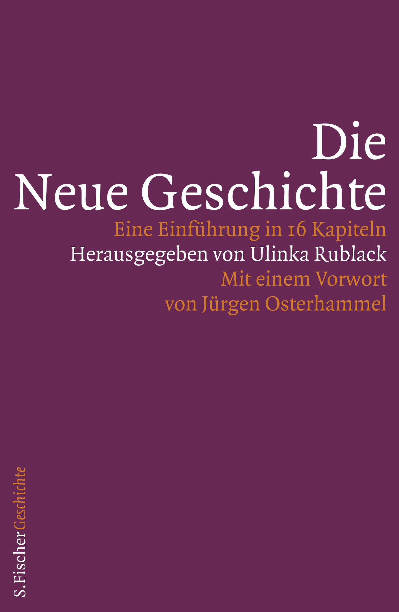 Die Neue Geschichte: Eine Einführung in 16 Kapiteln Politics & History