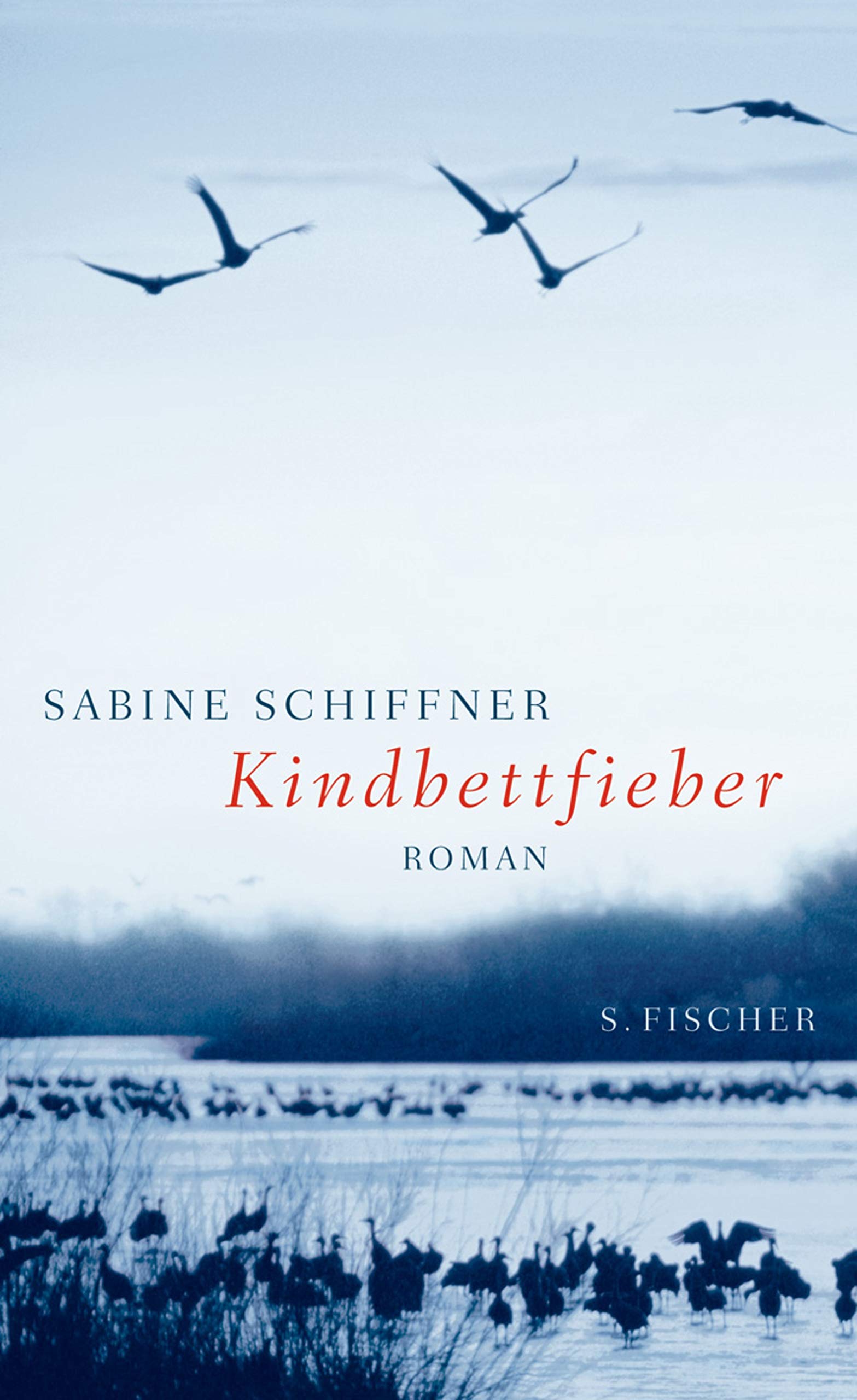 Kindbettfieber: Roman: Roman. Ausgezeichnet mit dem Preis der Jürgen Ponto-Stiftung 2005 Contemporary literature