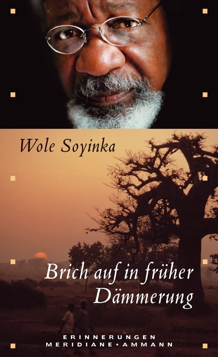 Brich auf in früher Dämmerung: Erinnerungen Contemporary literature