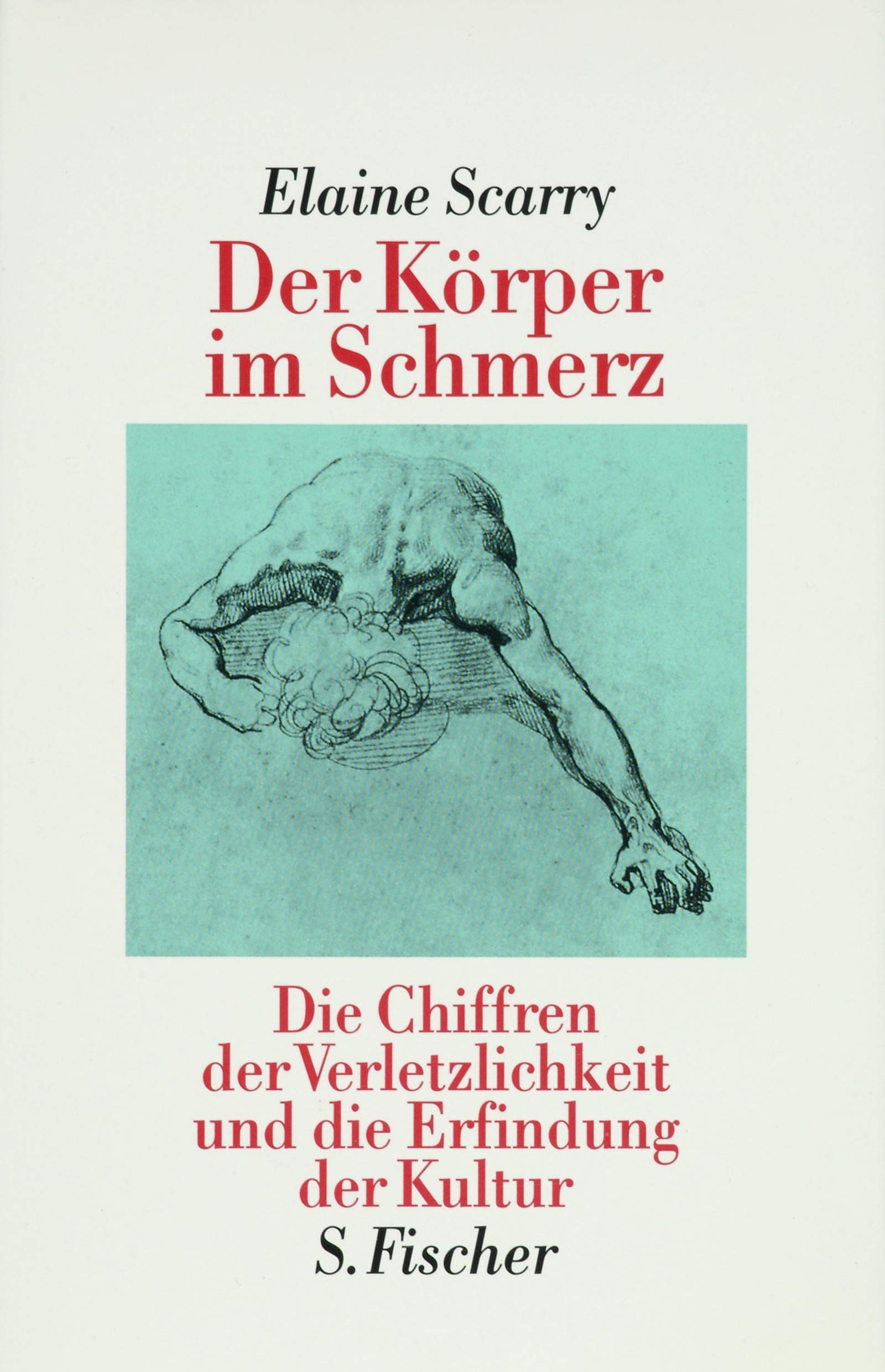 Der Körper im Schmerz: Die Chiffren der Verletzlichkeit und die Erfindung der Kultur Medicine