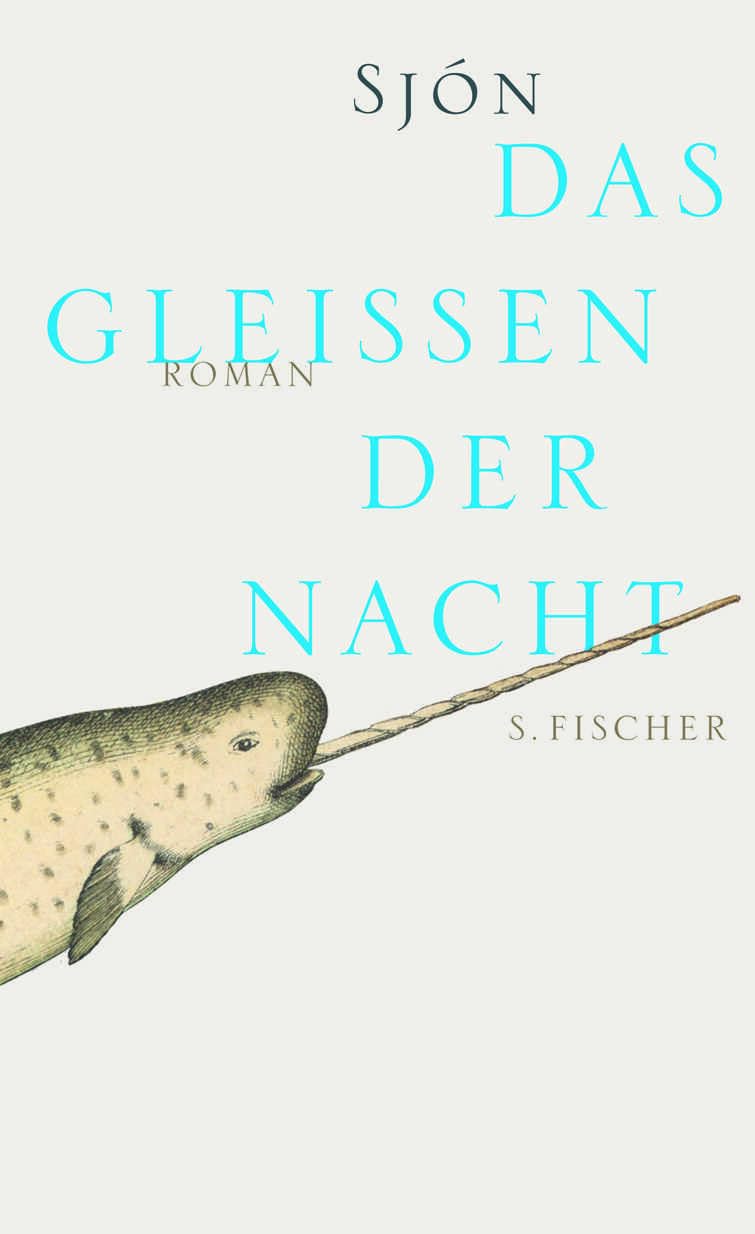 Das Gleißen der Nacht: Roman Contemporary literature