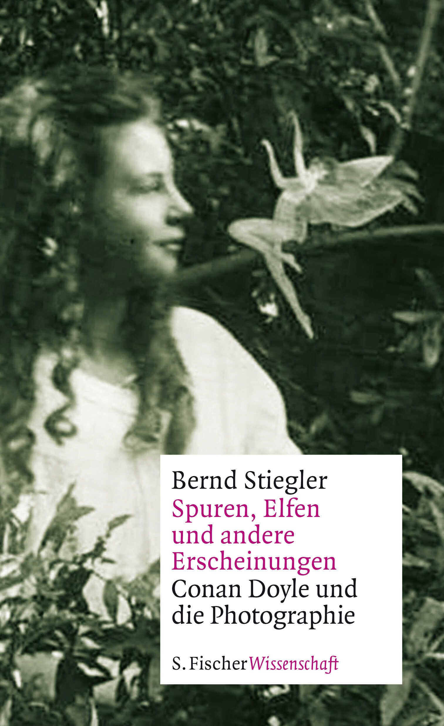 Spuren, Elfen und andere Erscheinungen Social Sciences