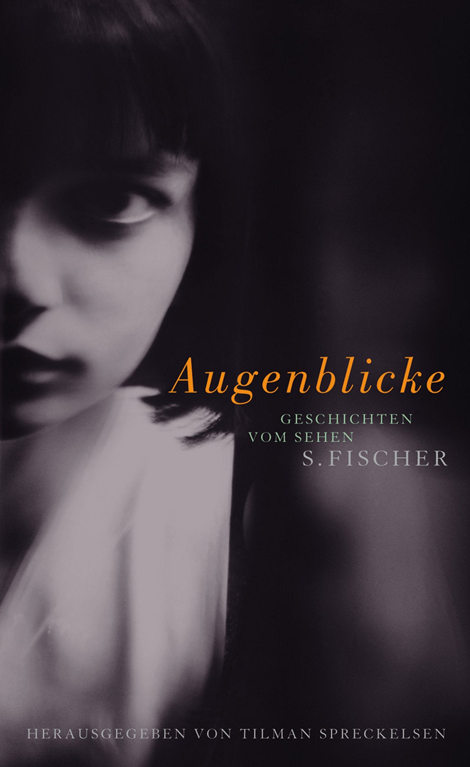 Augenblicke: Geschichten vom Sehen Contemporary literature