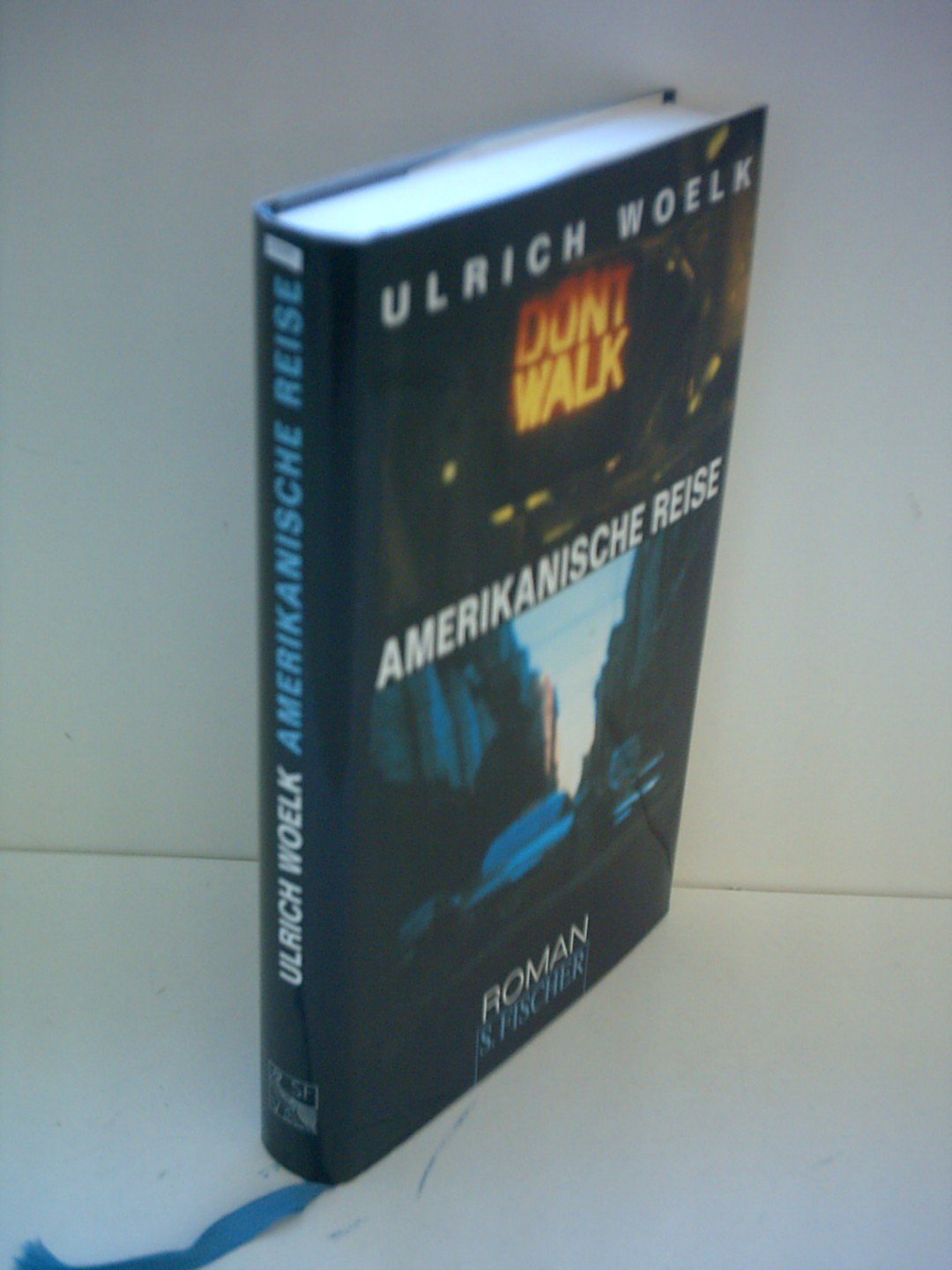 Amerikanische Reise: Roman Contemporary literature