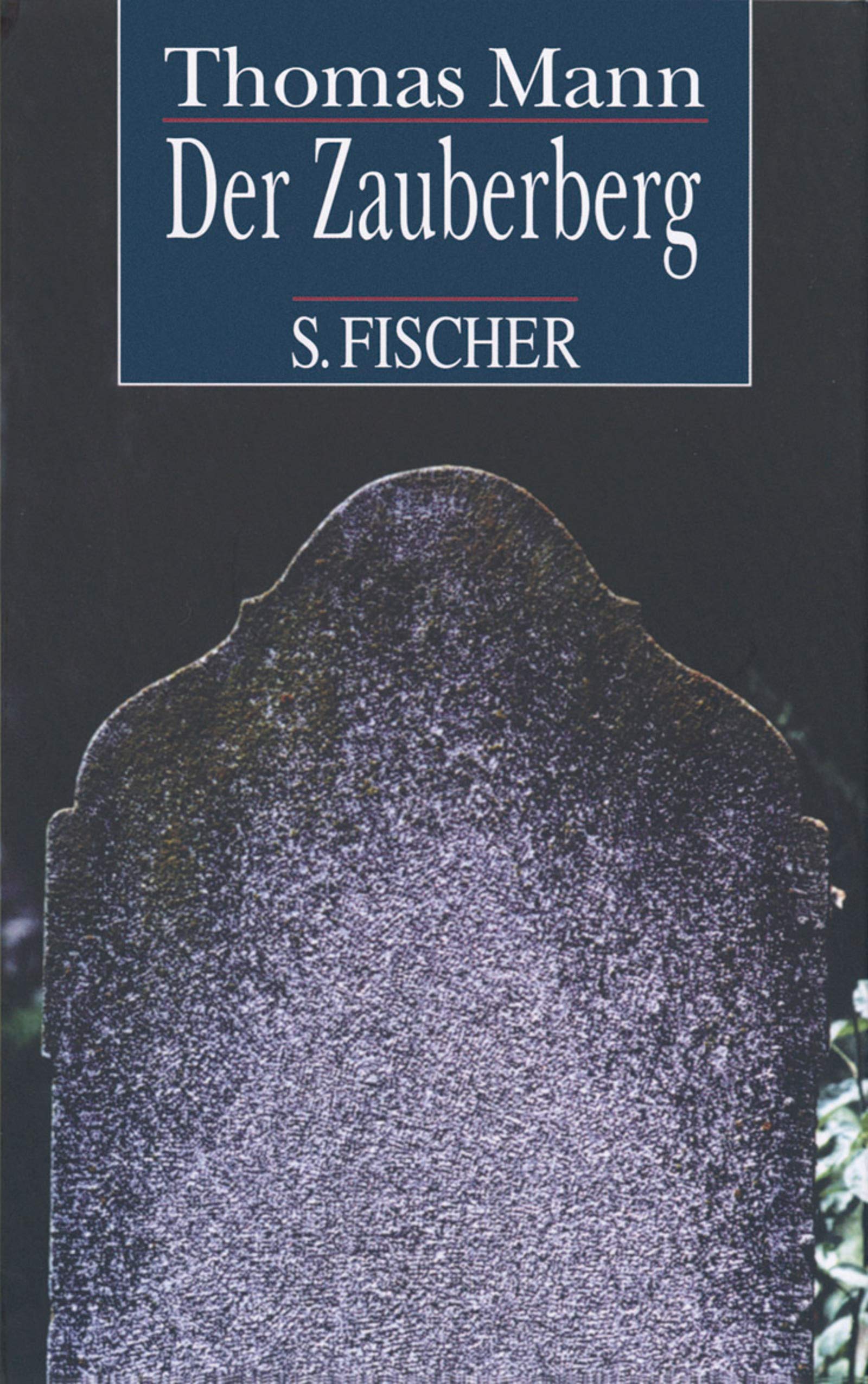 Der Zauberberg: Roman Classics