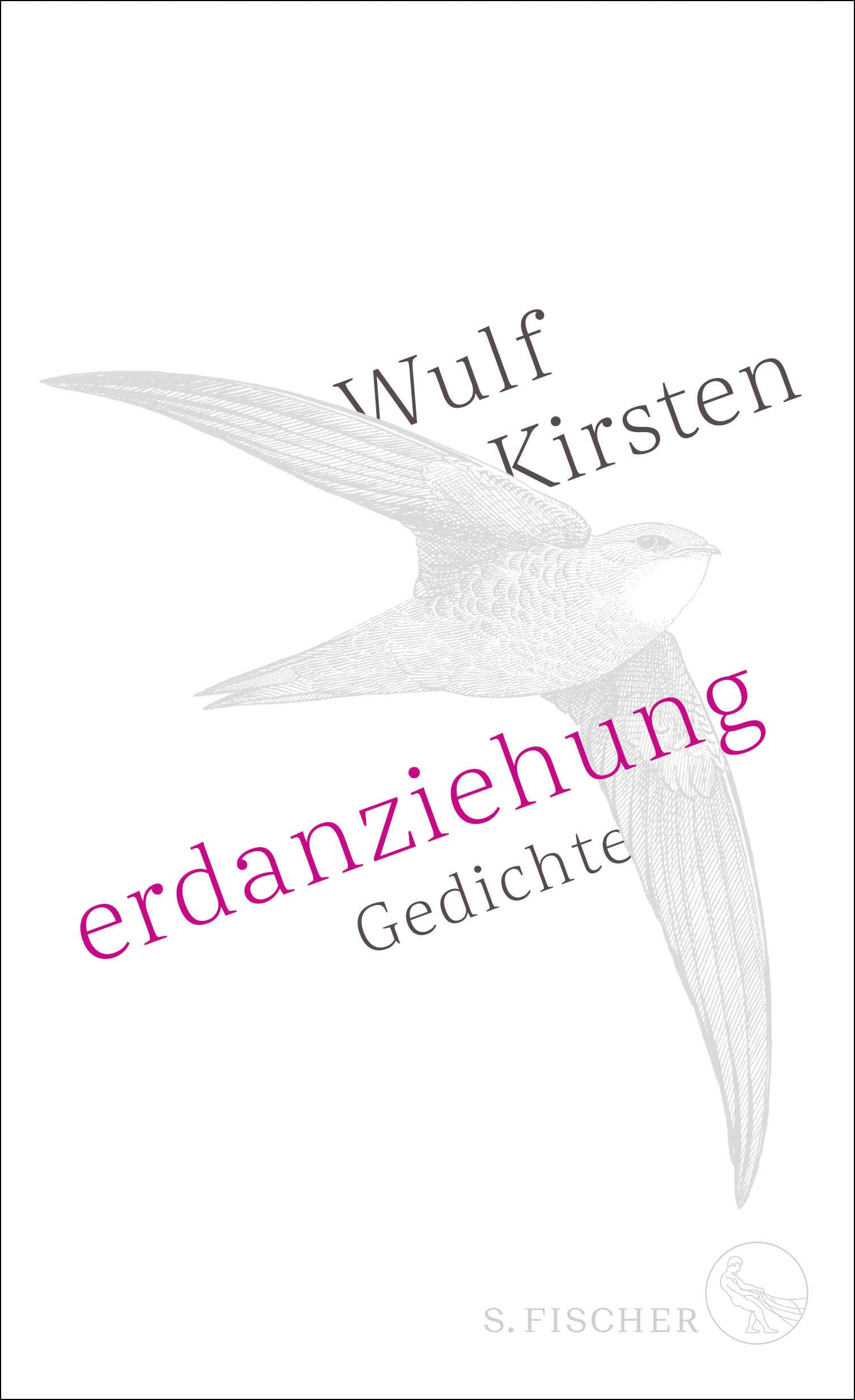 Product Image: Erdanziehung