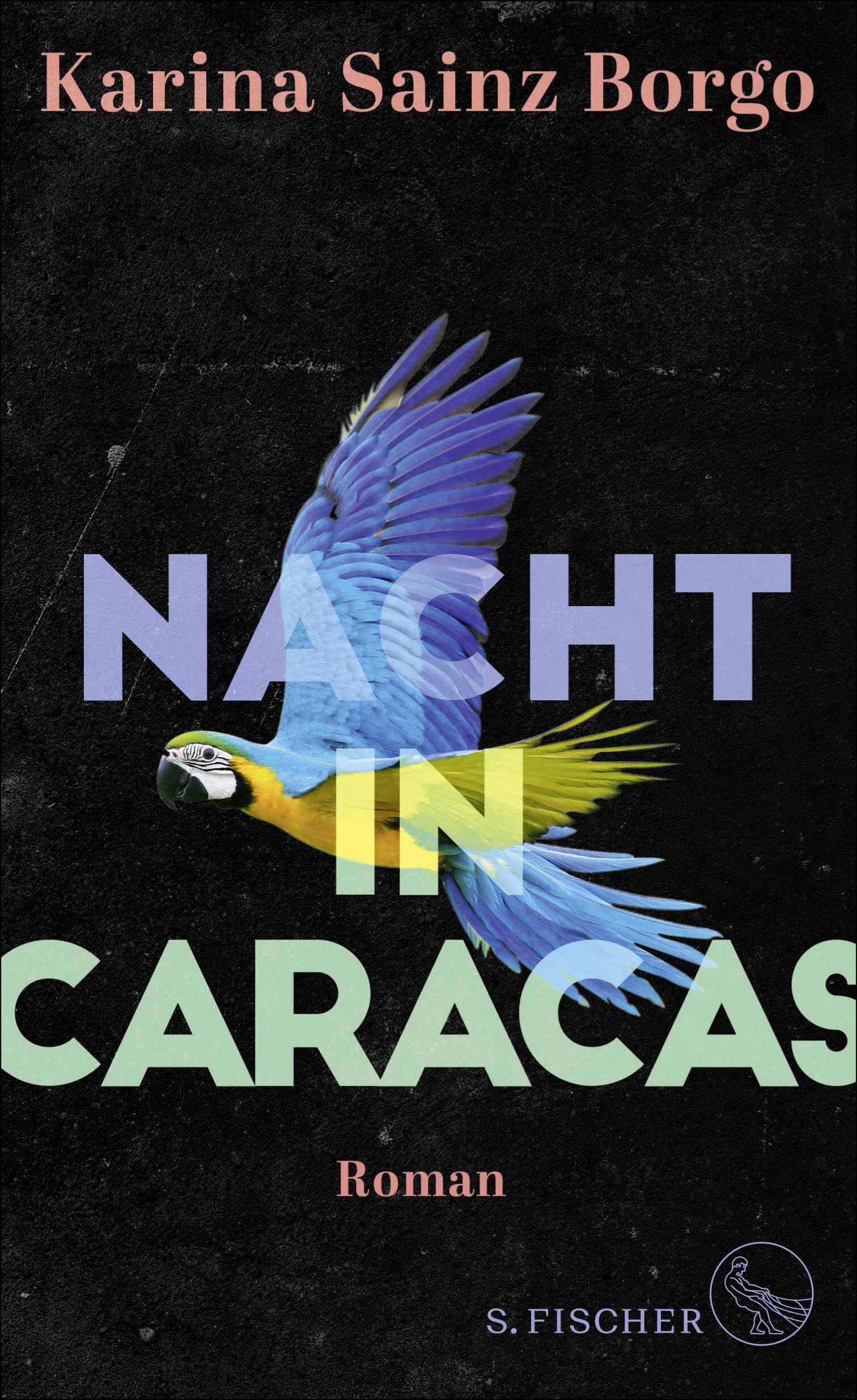 Nacht in Caracas Contemporary literature