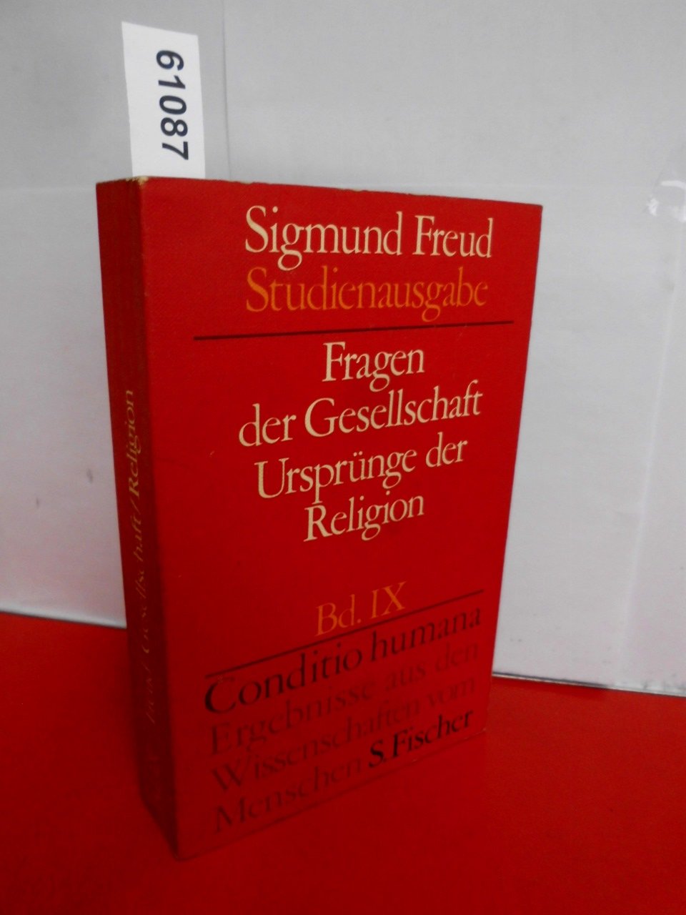 Fragen der Gesellschaft. Ursprünge der Religion Studienausgabe Band IX Books