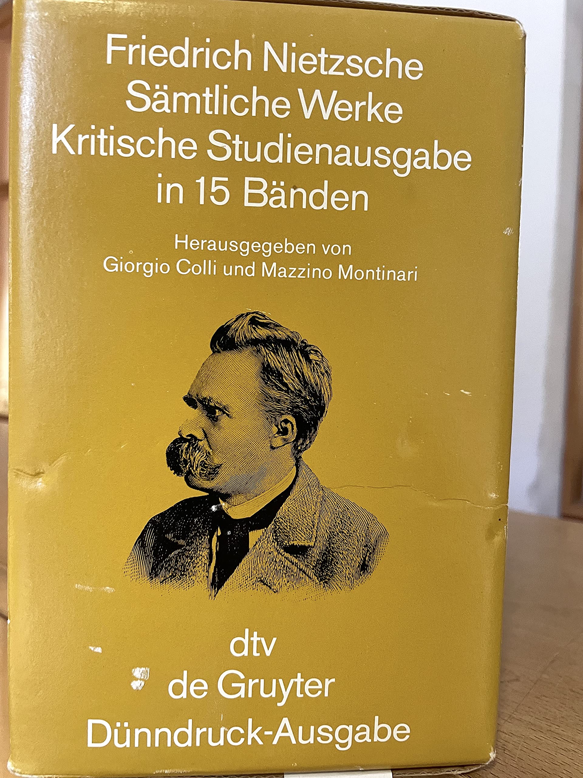 Sämtliche Werke: Kritische Studienausgabe Philosophy