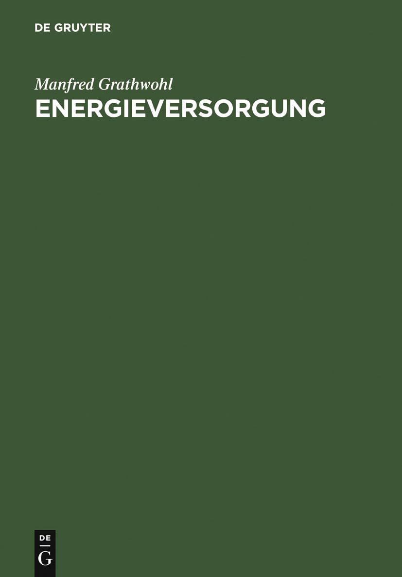 Energieversorgung: Ressourcen, Technologien, Perspektiven Business, Finance & Career