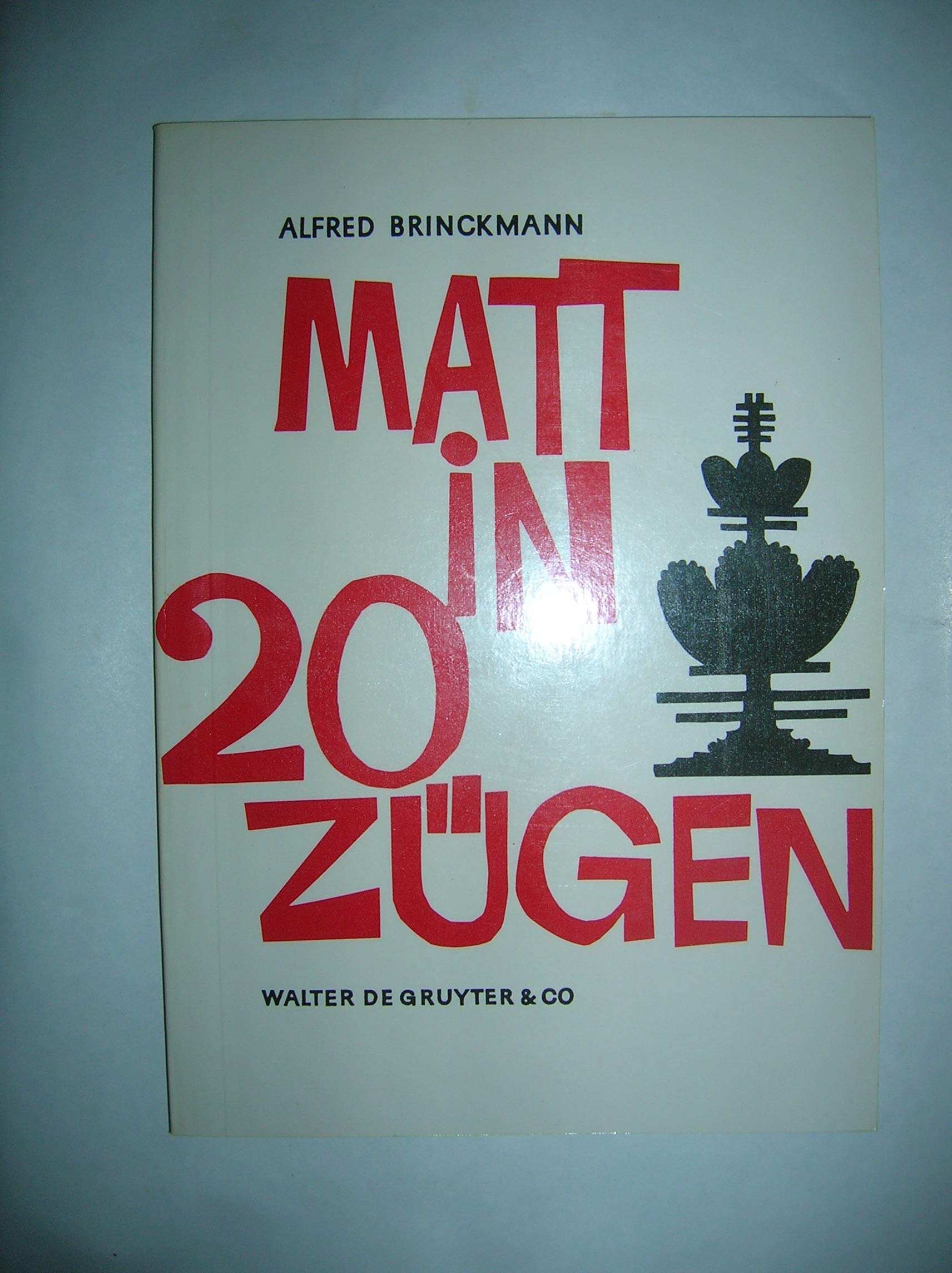 Matt in zwanzig Zügen: Einfälle u. Reinfälle ; e. Lehr- u. Lesebuch Mathematics