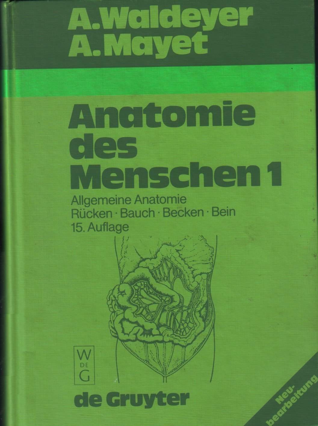 Allgemeine Anatomie, Rücken, Bauch, Becken, Bein (Anton Waldeyer; Anton Mayet: Anatomie des Menschen) Medicine