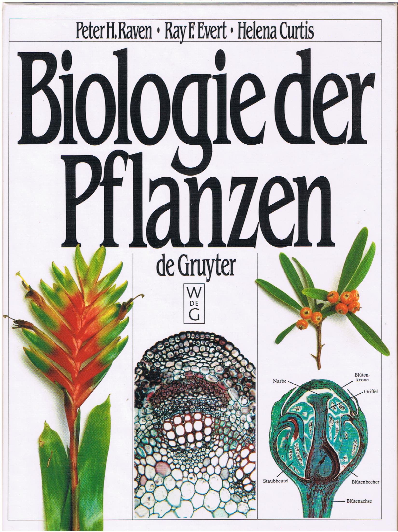 Biologie der Pflanzen Leisure, Home & Garden