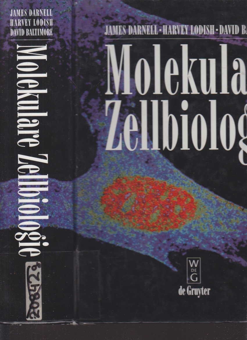 DARNELL ET AL:MOLEKULARE ZELLBIOLOGIE General education