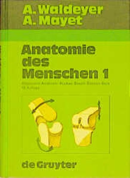 Allgemeine Anatomie. Allgemeine Histologie. Allgemeine Embryologie. Rücken. Bauch. Becken. Bein: Allgemeine Anatomie - Allgmeine Histologie - ... und praktischen Gesichtspunkten) Medicine