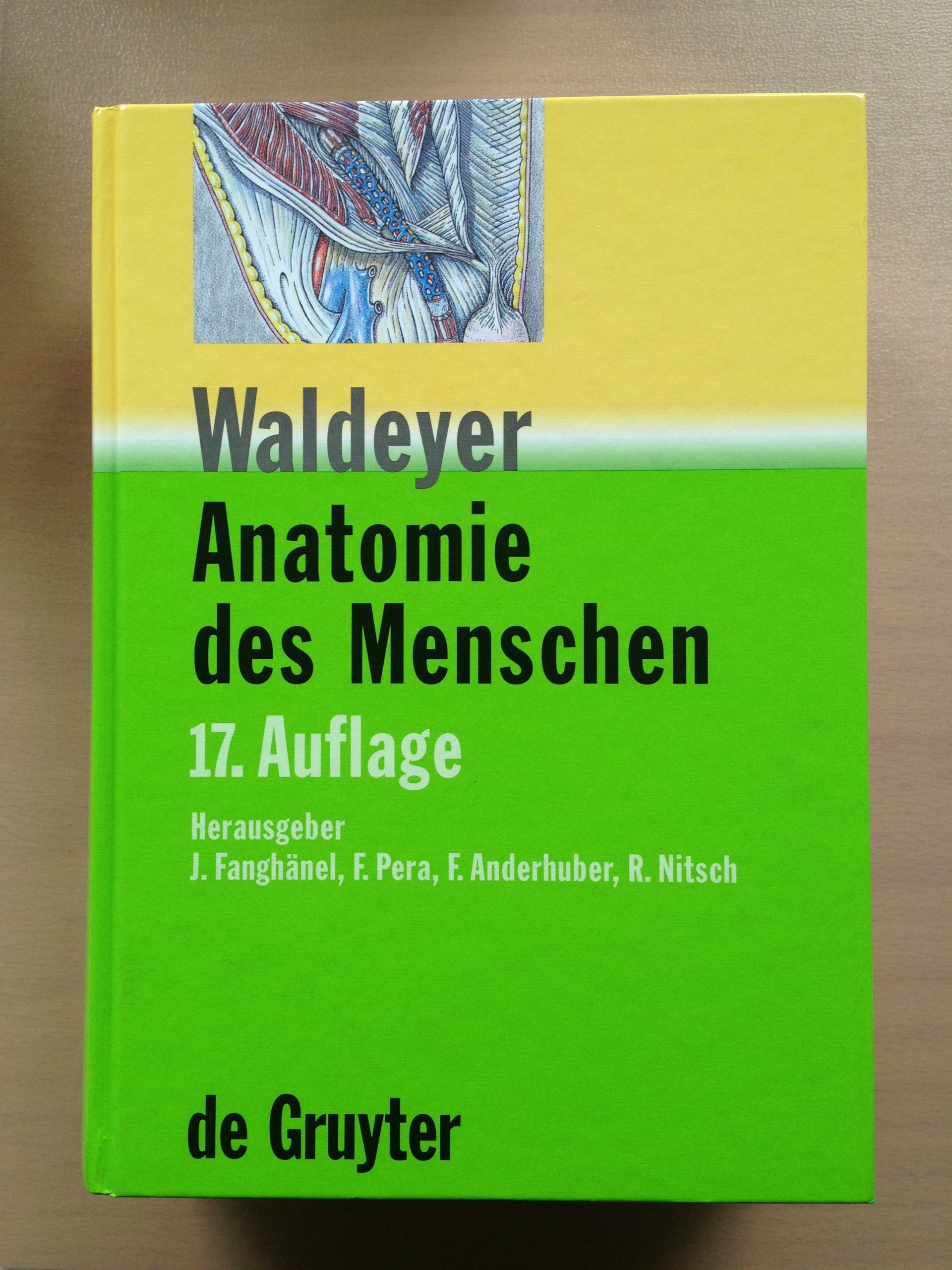 Product Image: Waldeyer - Anatomie des Menschen