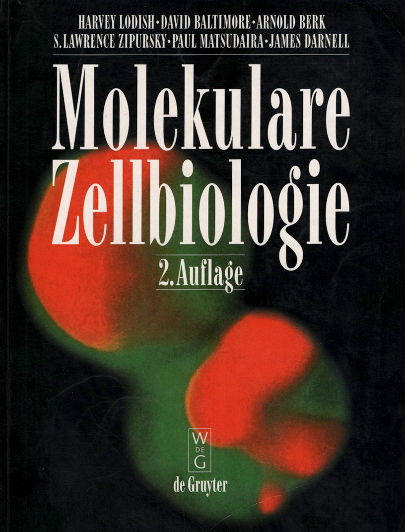 Molekulare Zellbiologie Business & Technology
