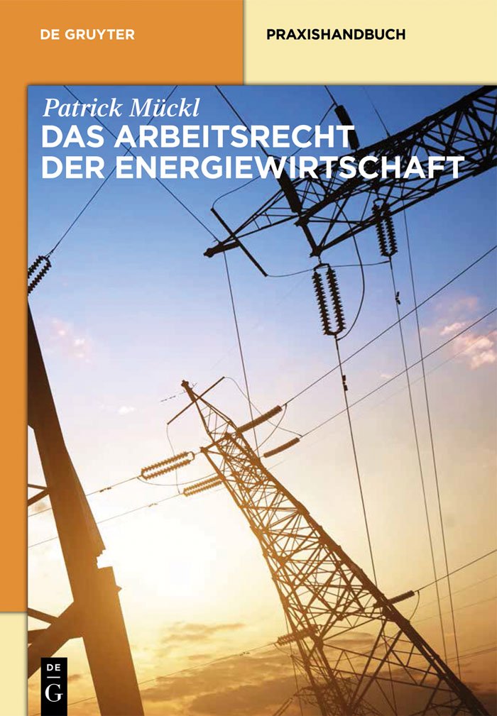 Das Arbeitsrecht der Energiewirtschaft (De Gruyter Praxishandbuch) Law