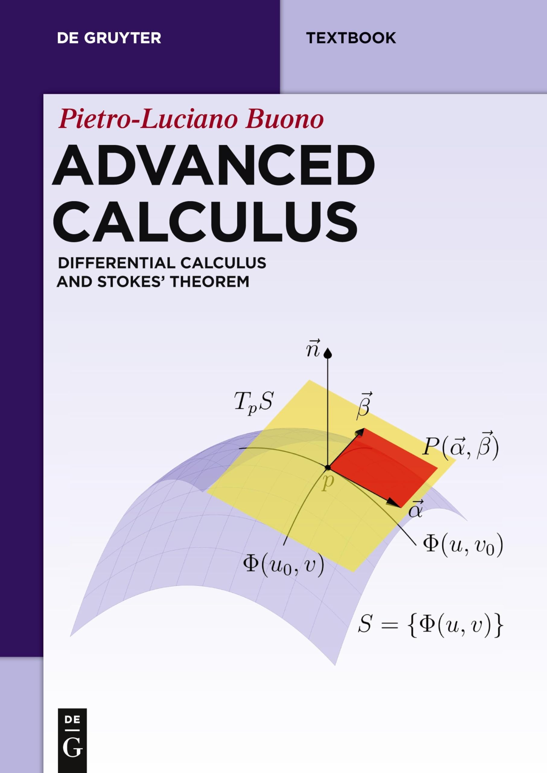 Advanced Calculus: Differential Calculus and Stokes' Theorem (De Gruyter Textbook) Mathematics