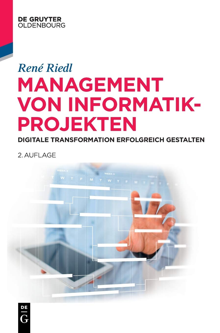 Management Von Informatik-projekten: Digitale Transformation Erfolgreich Gestalten book