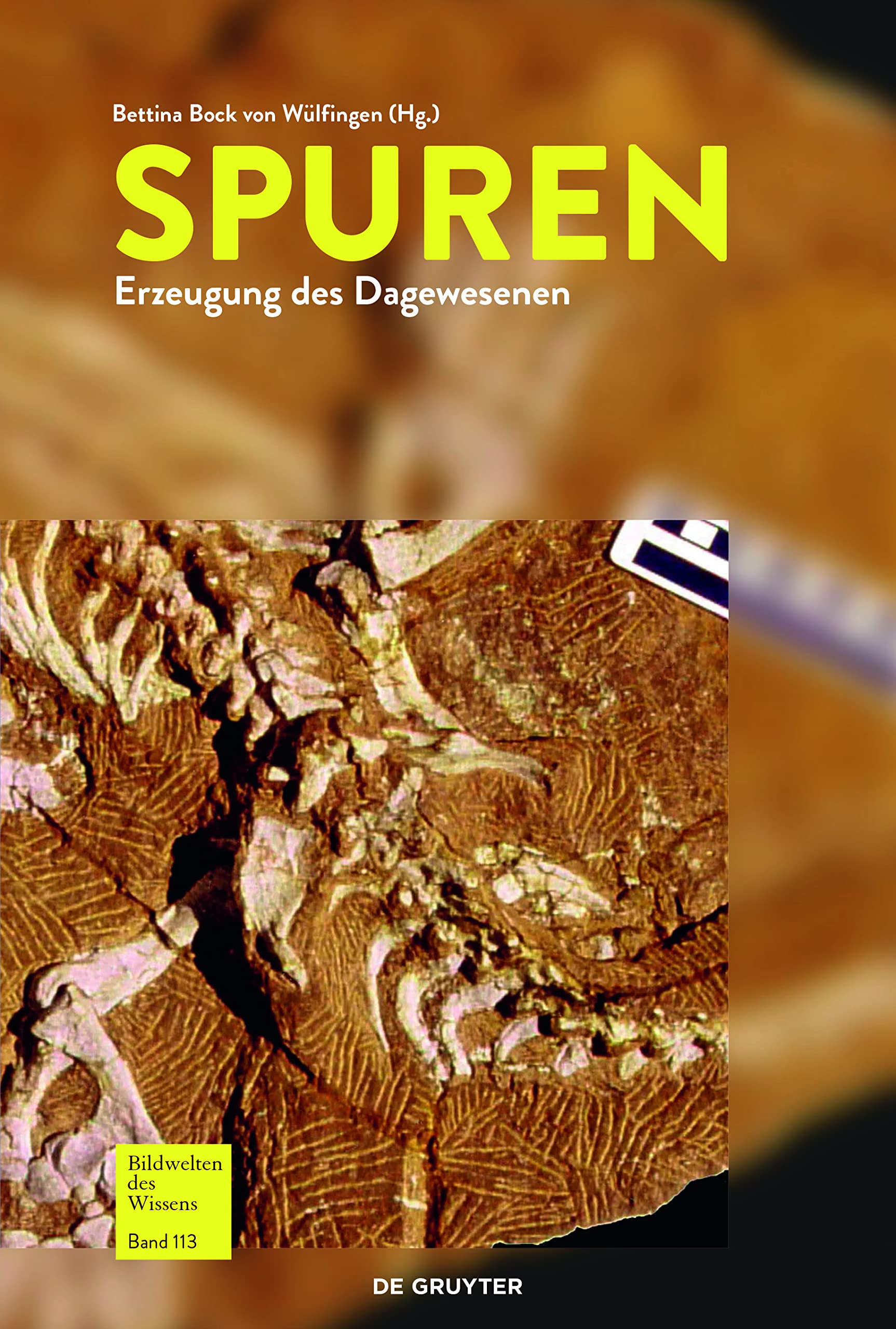 Bildwelten des Wissens / Spuren Film, Art & Culture