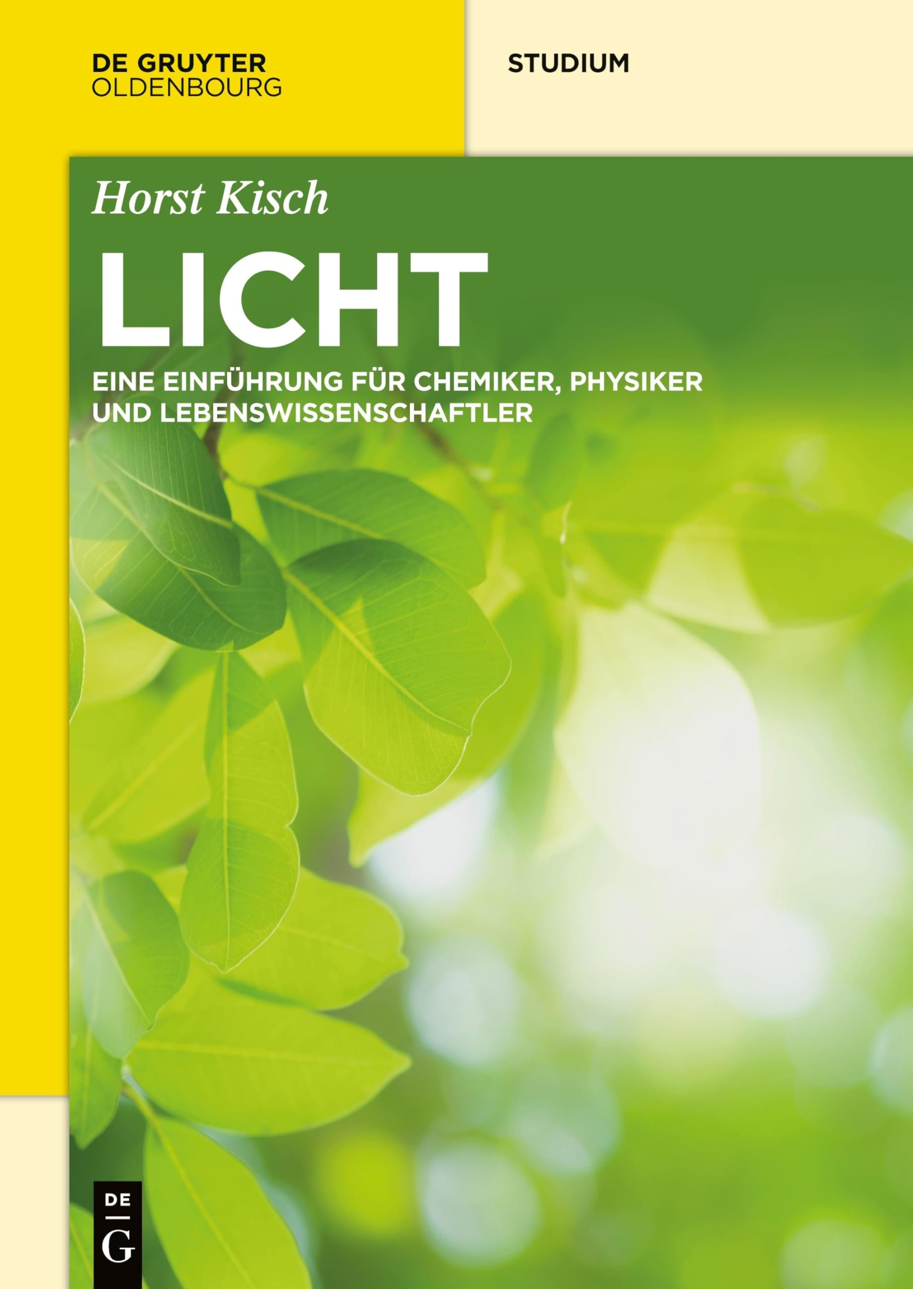 Licht: Eine Einführung für Chemiker, Physiker und Lebenswissenschaftler (De Gruyter Studium) Natural Sciences