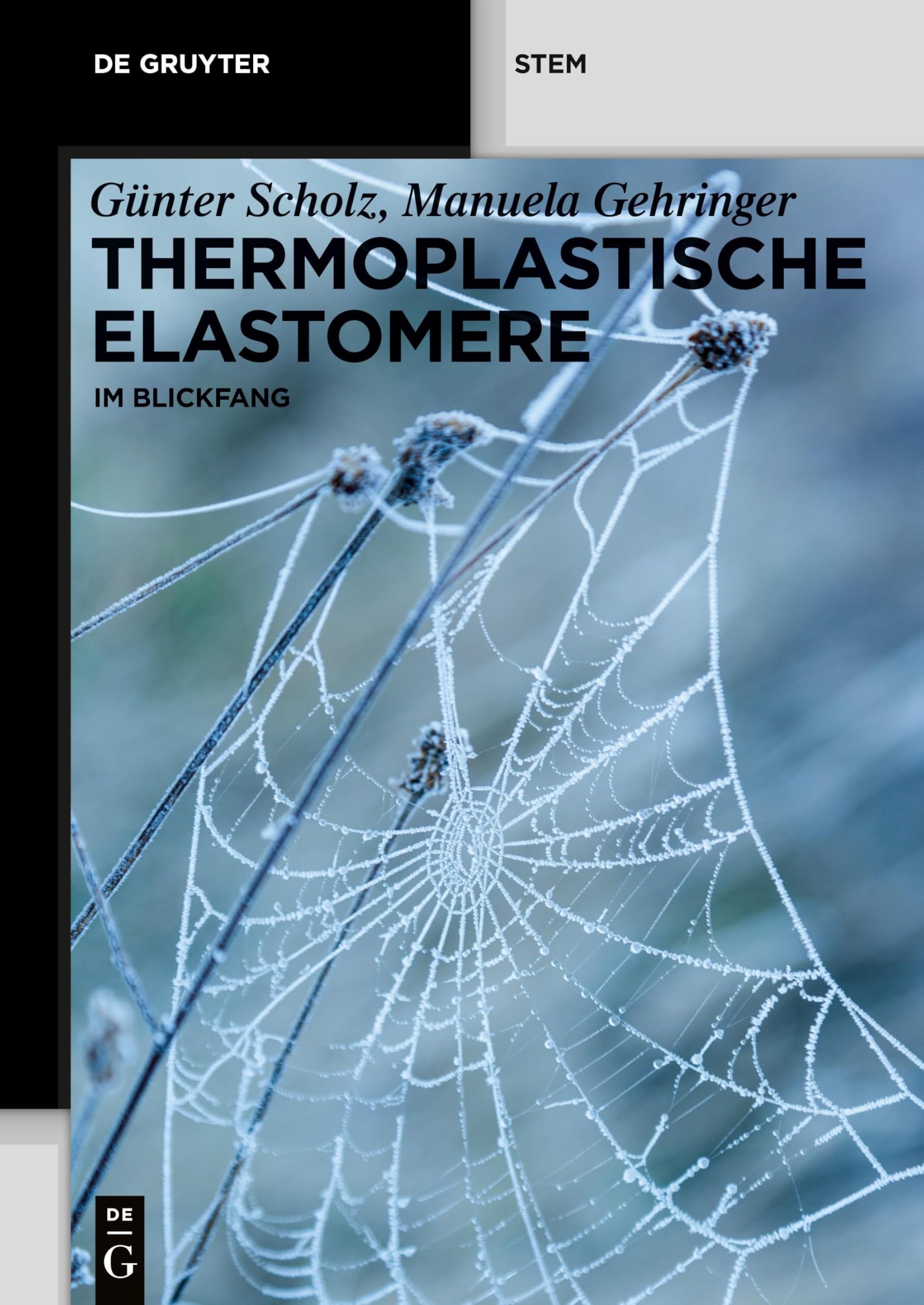 Thermoplastische Elastomere: im Blickfang (De Gruyter STEM) Business & Technology