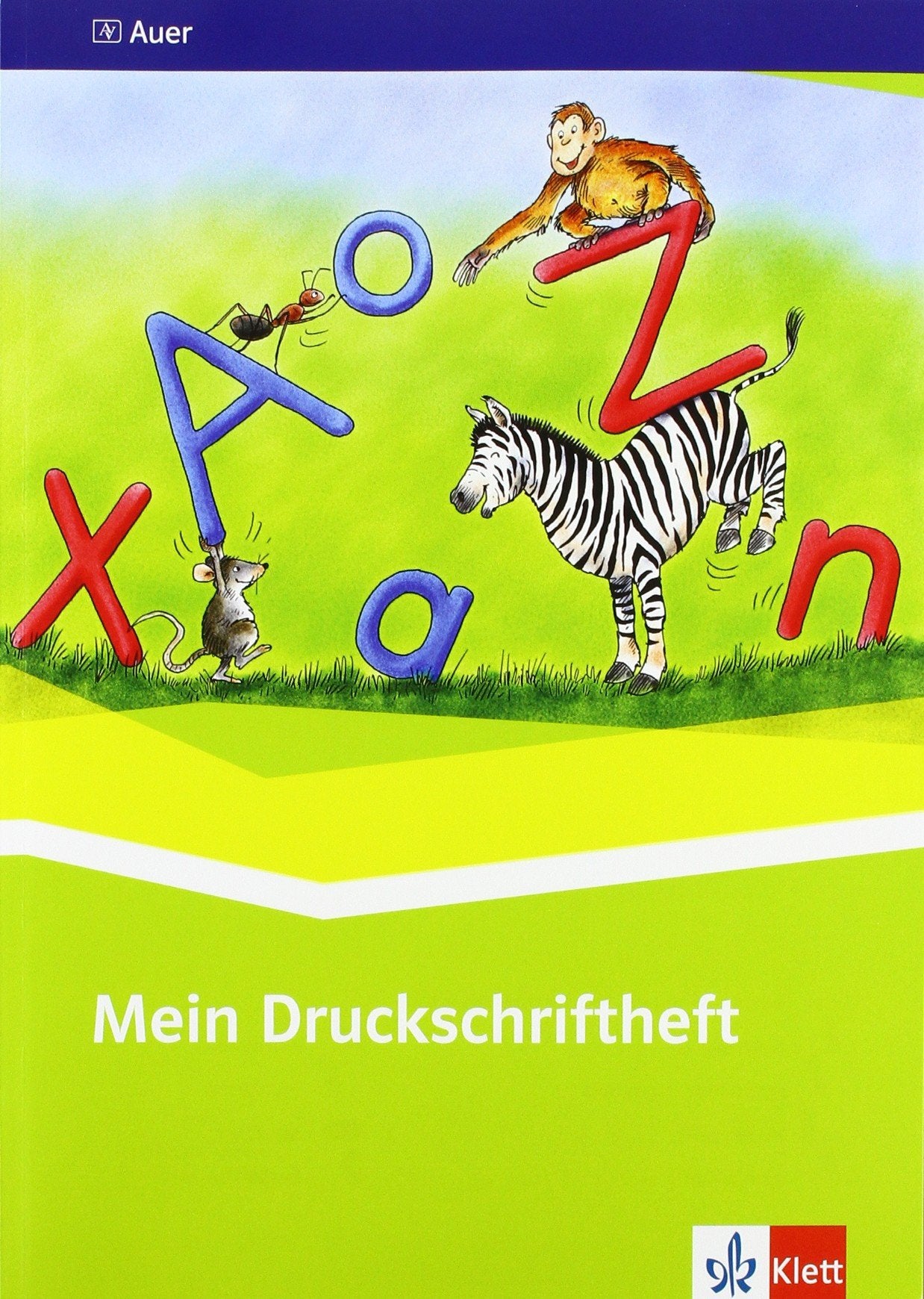 Druckschriftlehrgang für das 1. Schuljahr Study Guides