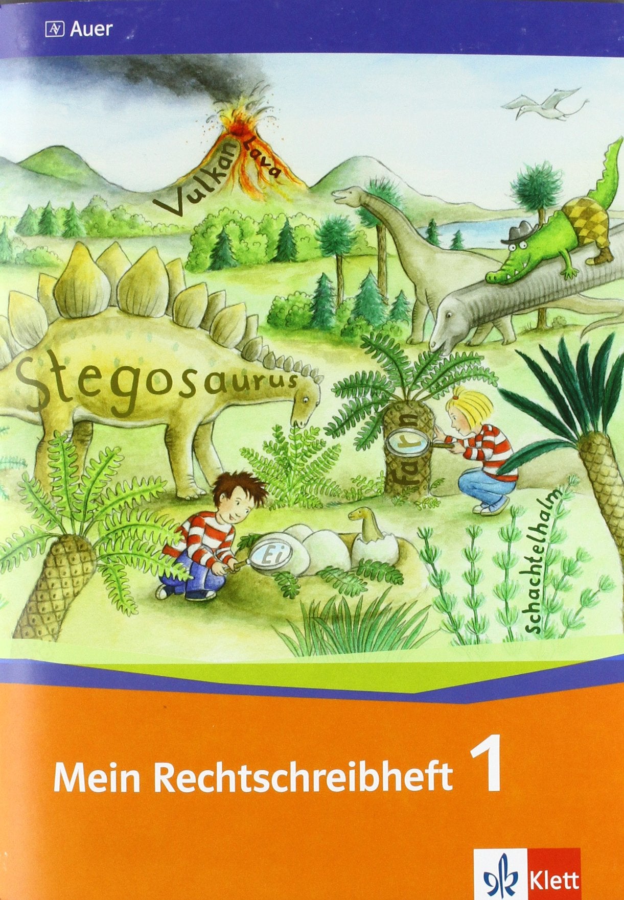 Mein Rechtschreibheft 1: Arbeitsheft Klasse 1 (Mein Rechtschreibheft. Ausgabe ab 2011) Study Guides