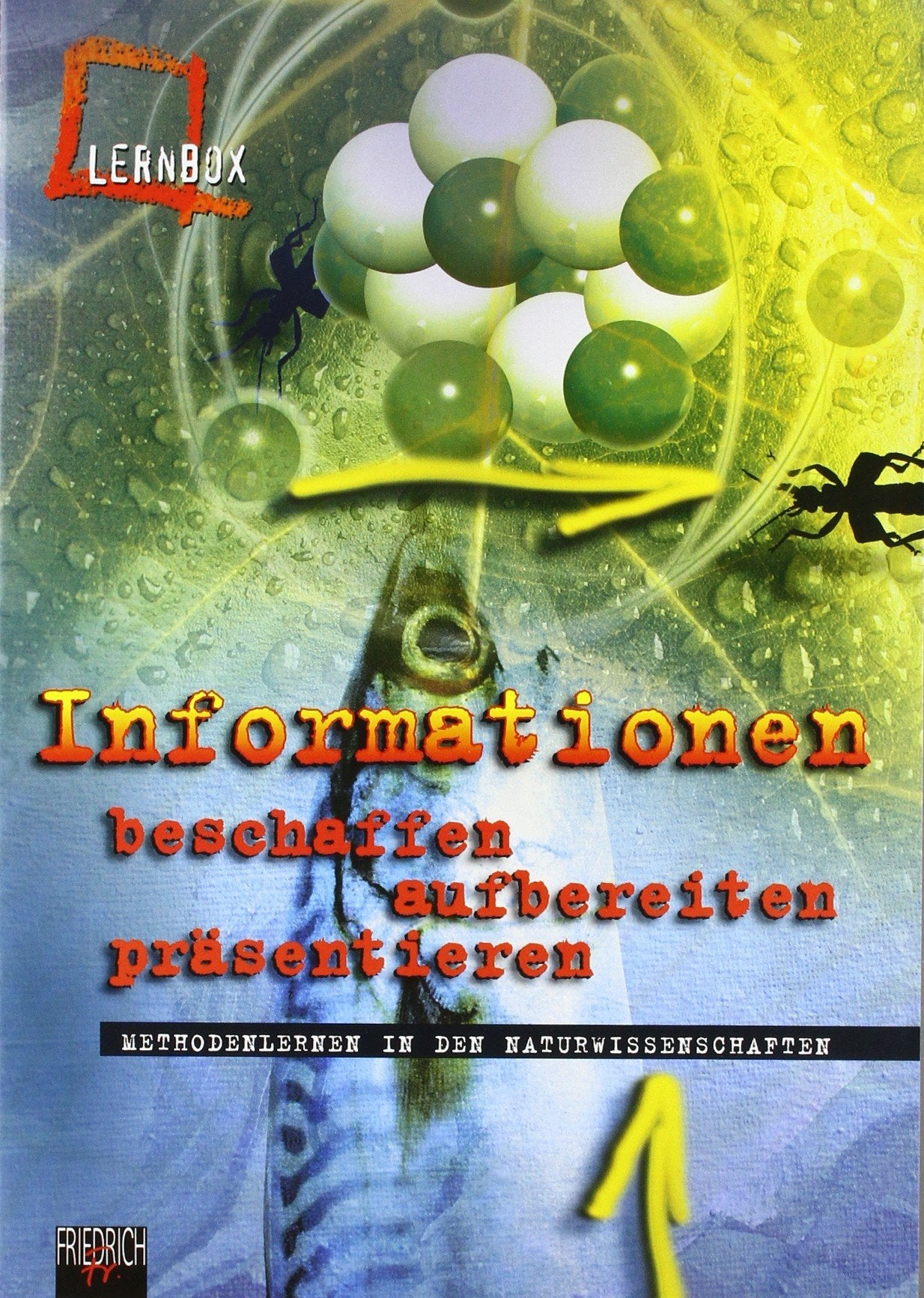 Lernbox Methodenlernen in den Naturwissenschaften: Arbeitsheft Study Guides