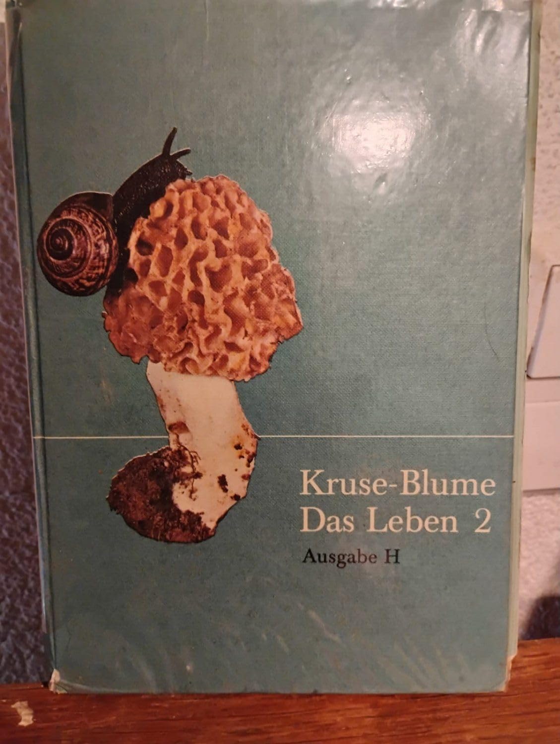 Das Leben 2 Books