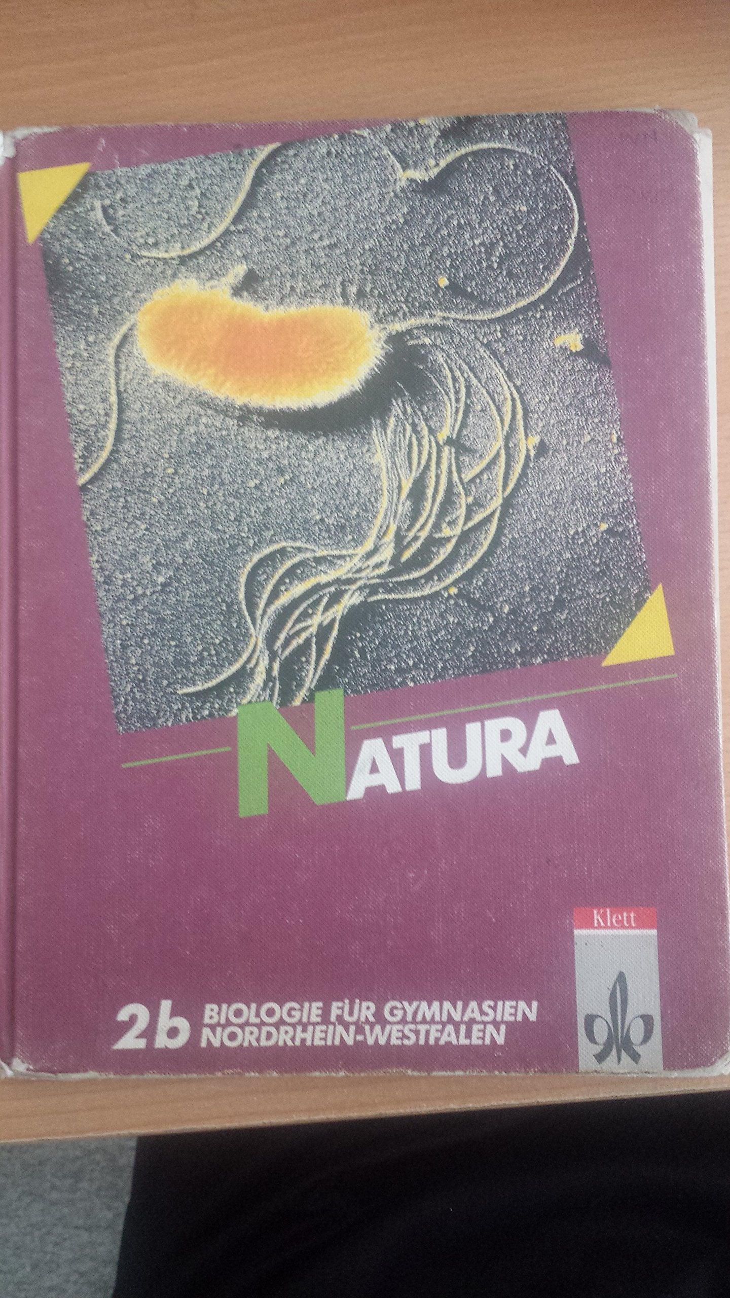 Natura, Biologie für Gymnasien, Ausgabe Nordrhein-Westfalen, Bd.2B, 9. Schuljahr Learning & Reference