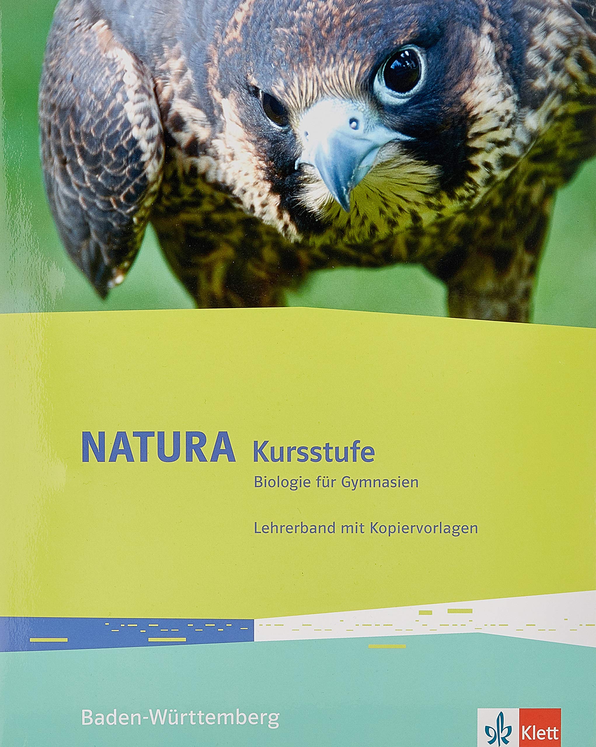 Natura Kursstufe. Ausgabe Baden-Württemberg: Serviceband mit DVD-ROM Klassen 11/12 Learning & Reference