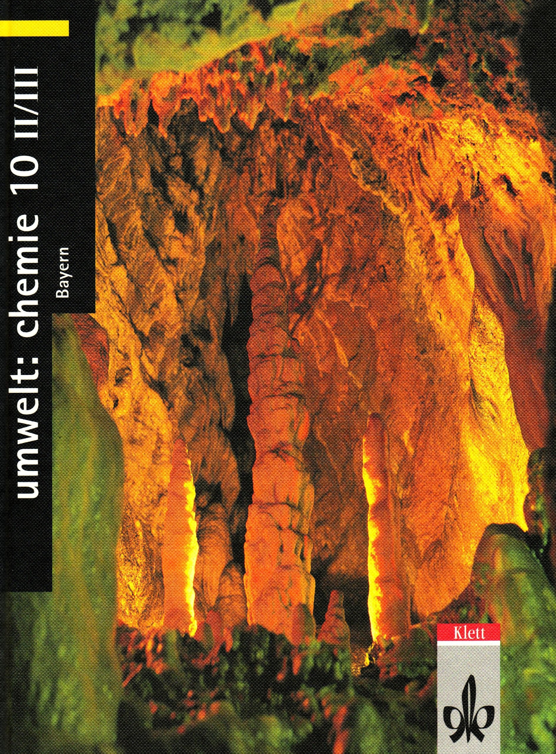 Umwelt: Chemie - Neubearbeitung / Ausgabe für Bayern / Schülerband 10. Klasse, Kurs II/III Study Guides