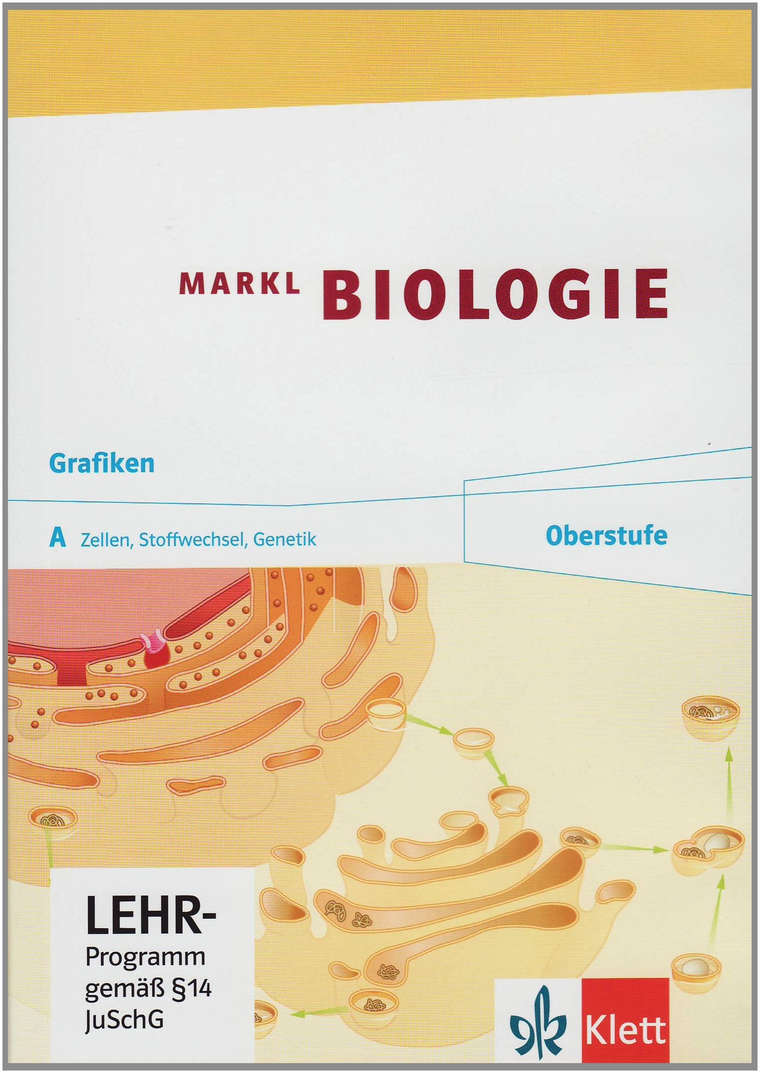 Markl Biologie Oberstufe: Grafiken A. CD-ROM Klassen 10-12 (G8), Klassen 11-13 (G9) (Markl Biologie Oberstufe. Bundesausgabe ab 2010) Non-fiction