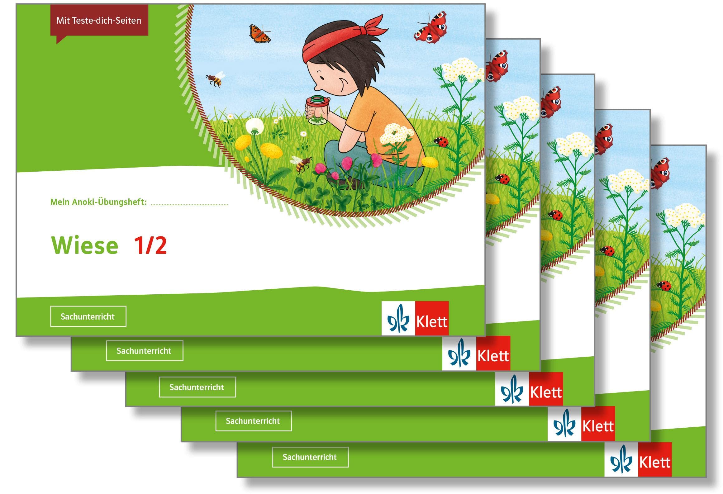 Wiese 1/2: Übungsheft im 5er-Paket Klasse 1/2 (Mein Anoki-Übungsheft) Study Guides