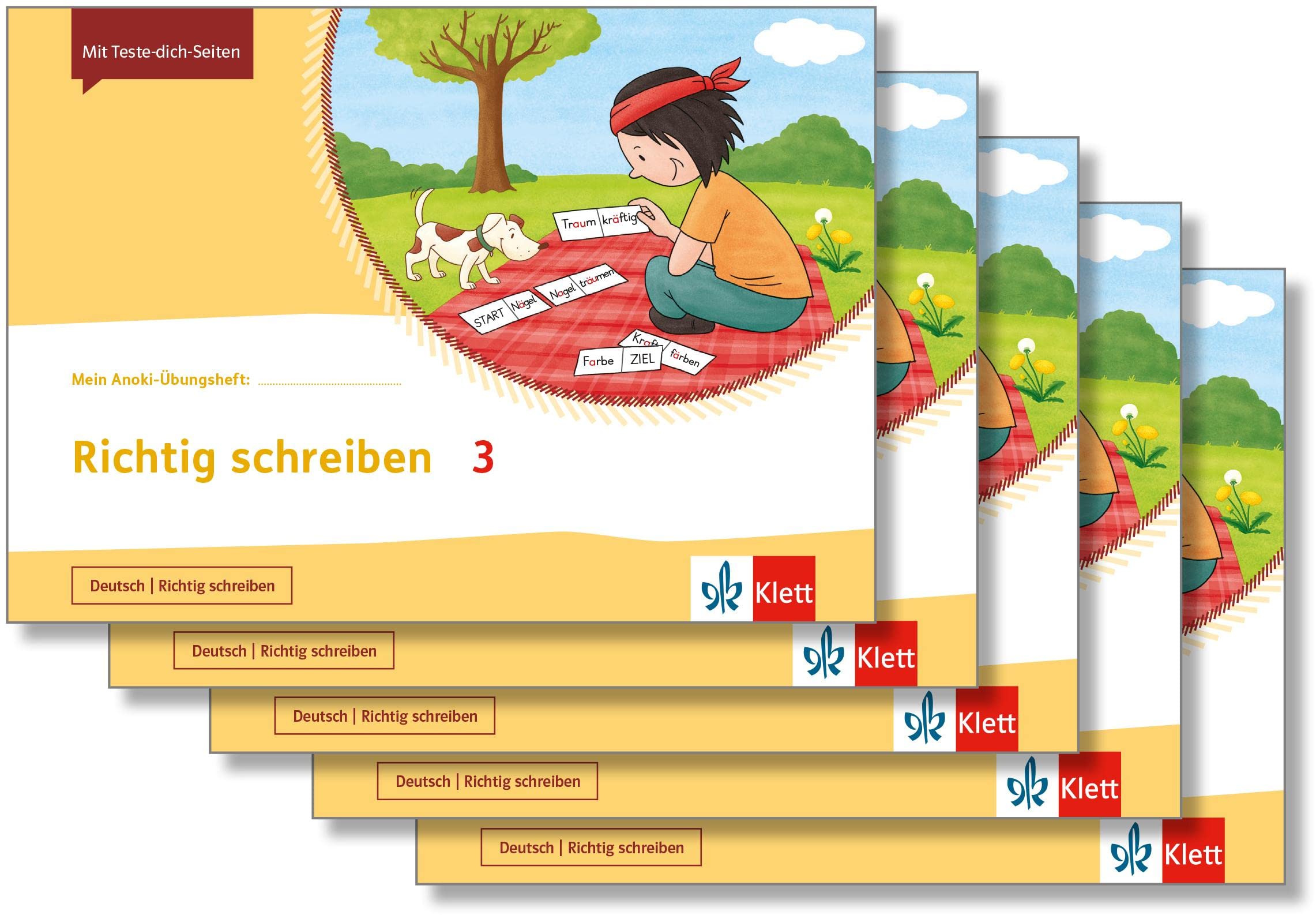 Mein Anoki-Übungsheft - Richtig schreiben 3: Übungsheft im 5er-Paket Klasse 3 Study Guides